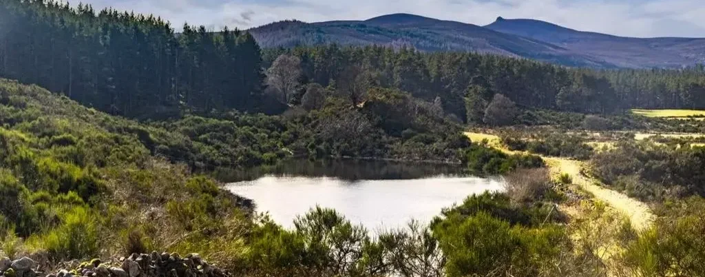 A scenic landscape with a small lake surrounded by green bushes, trees, and distant mountains under a partly cloudy sky.