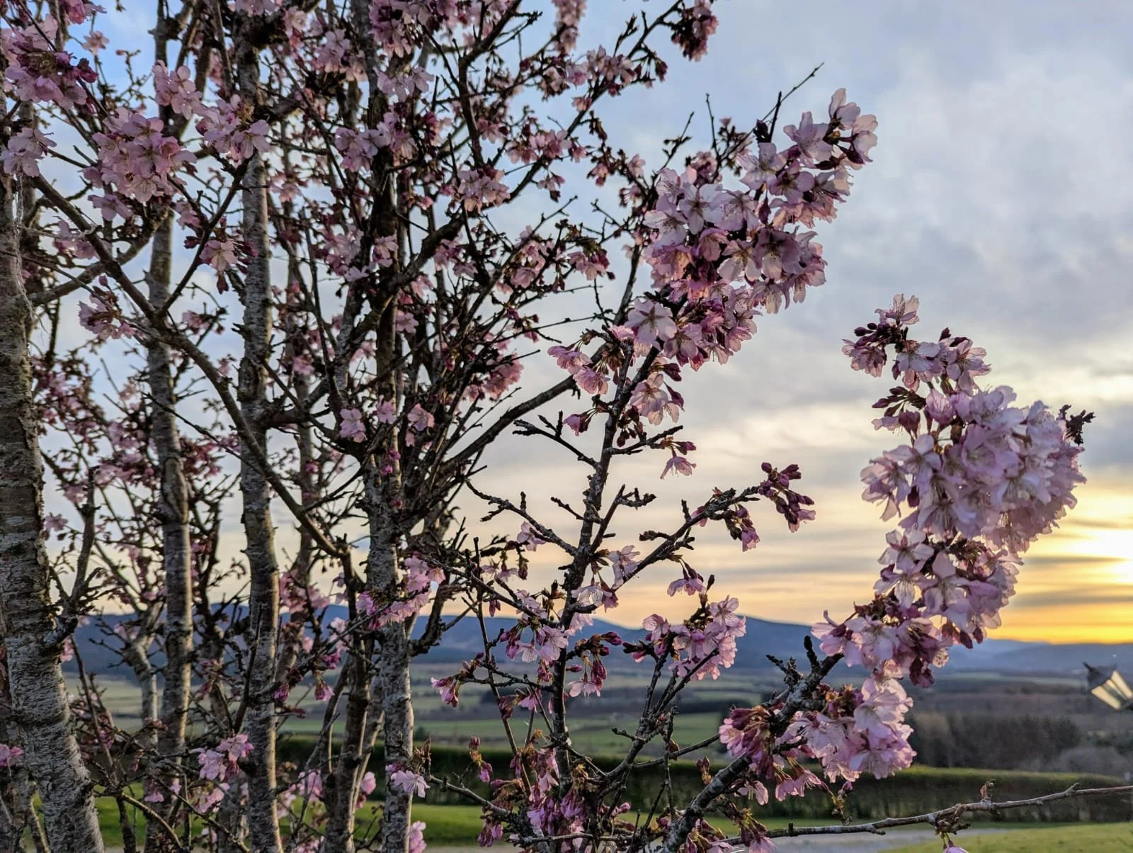 WhatsApp Image 2025-08-19 at 16.58.22 (3).jpeg