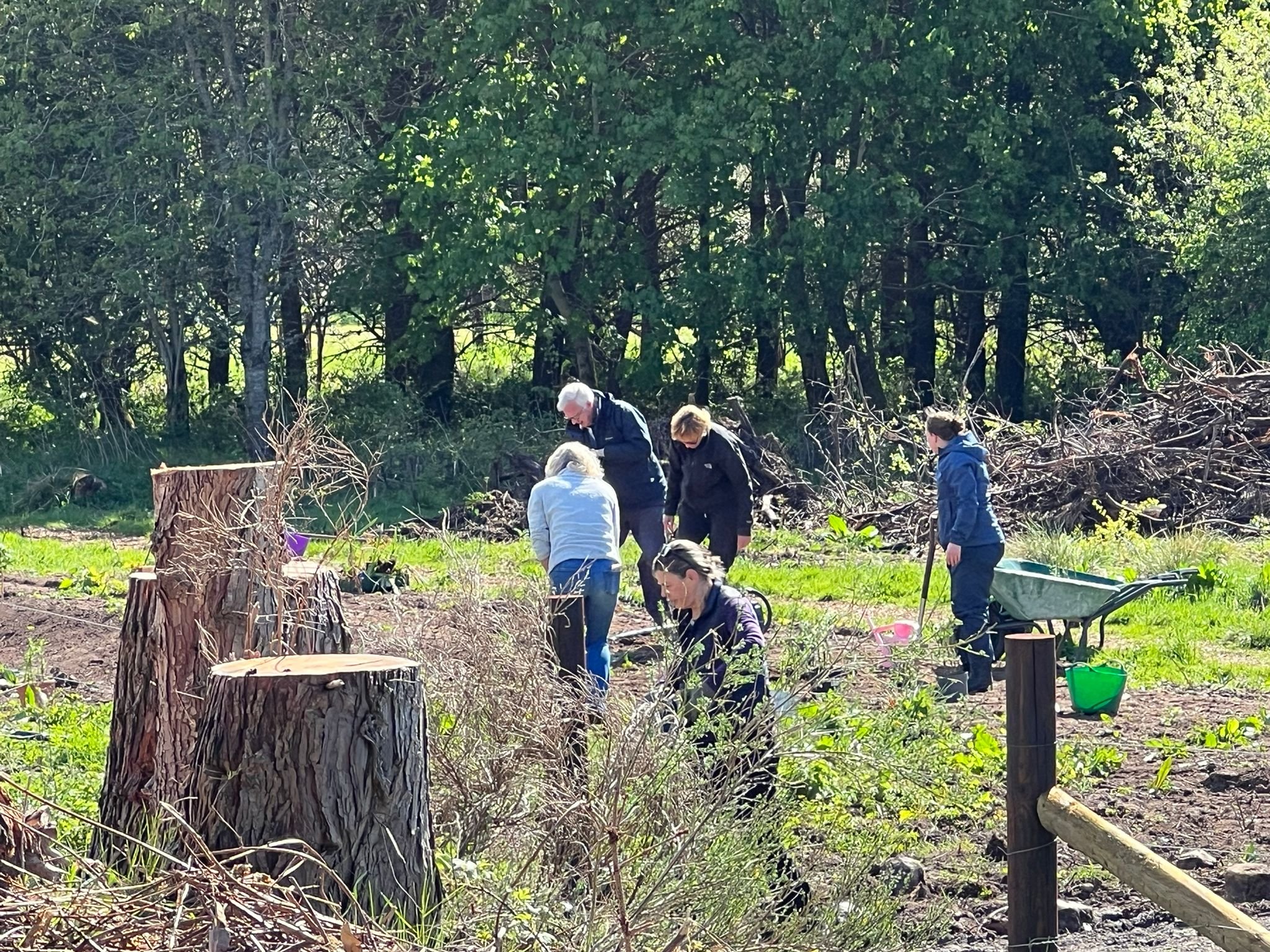 Feughside/Strachan Community Garden. Group of people planting or working on a garden or outdoor area with tree stumps, trees, and greenery in the background on a sunny day.