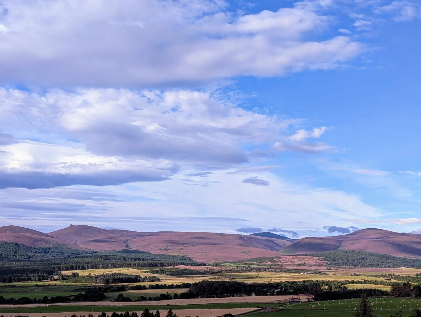 WhatsApp Image 2025-08-19 at 16.58.22 (1).jpeg