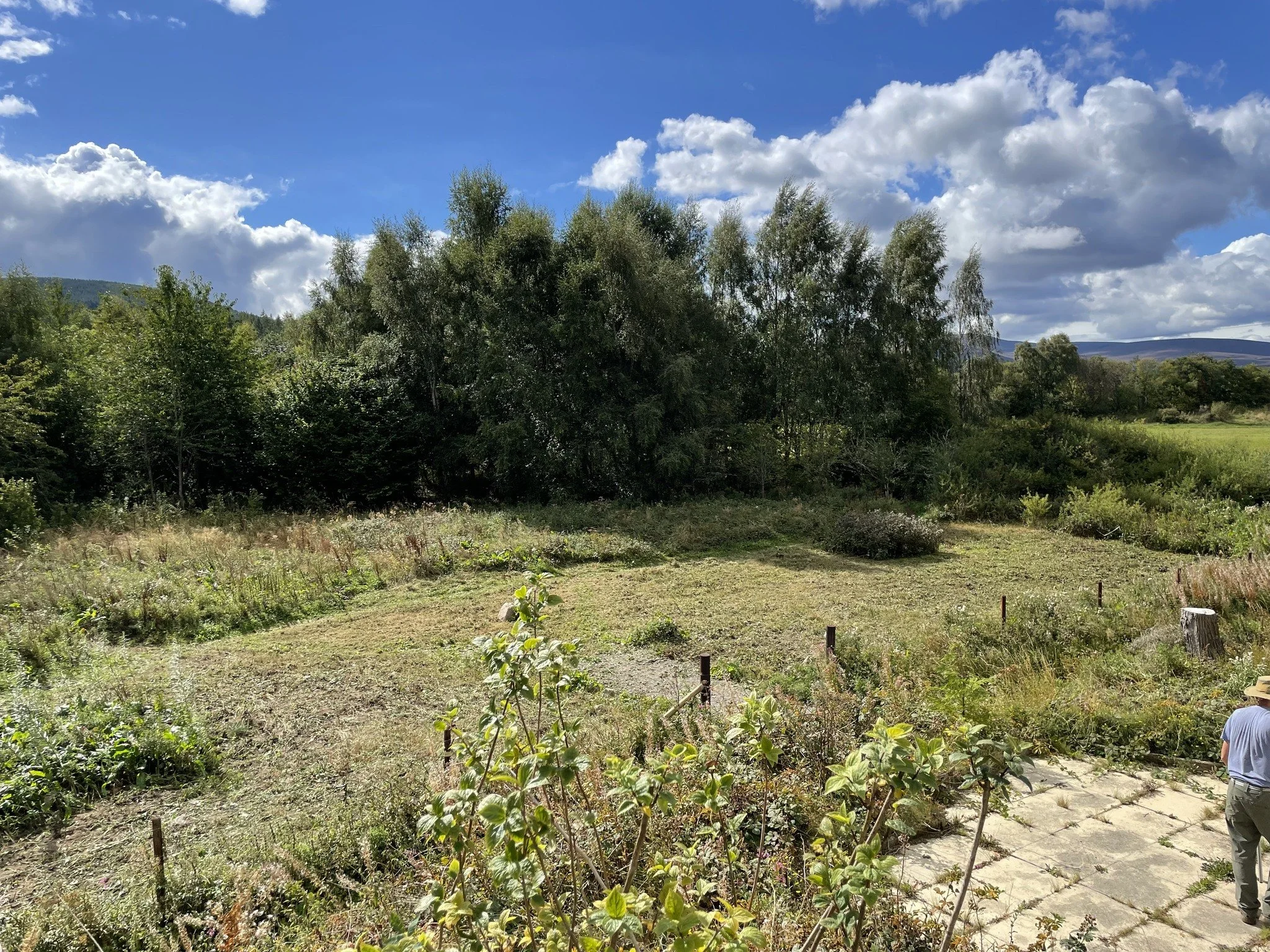Feughside/Strachan Community garden. A spacious outdoor garden area on a sunny day with partly cloudy skies, trees, shrubs, and open grassy patches, with a person wearing a hat in the lower right corner.