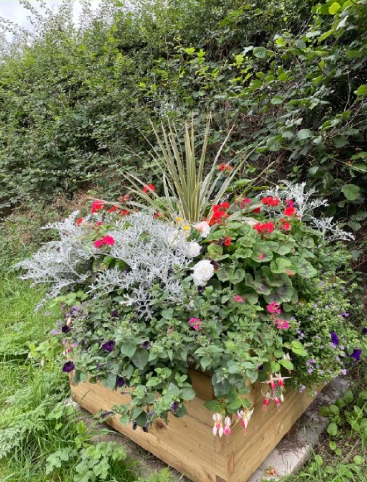 Colourful flower garden in a wooden planter box in Strachan Village, with various plants and flowers, located outdoors on grass with bushes and trees in the background. Created by Strachan Flowers Group, part of Feughside Community Asscoiation.