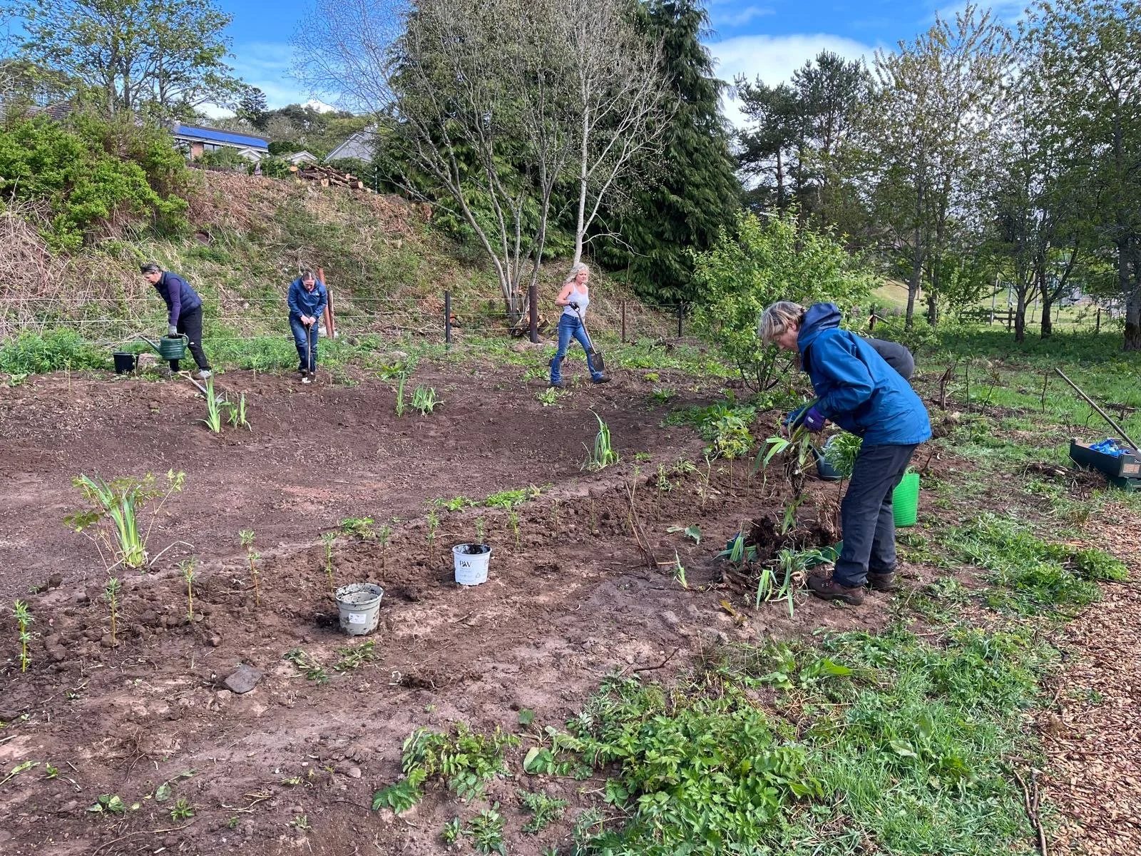 Feughside/Strachan Community garden. People planting and tending to a garden on a hillside with trees and houses in the background.