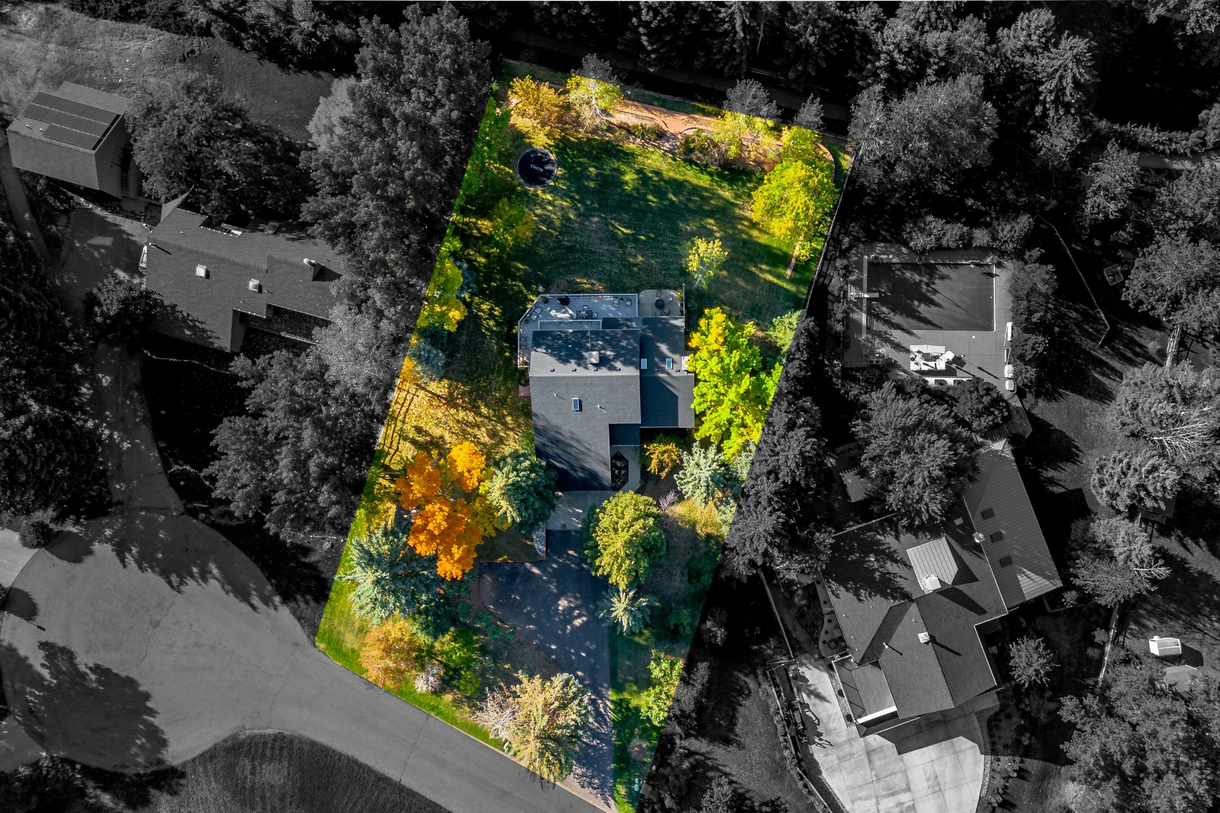 An aerial view of a house and yard, with the yard highlighted in color while the surrounding neighborhood is in black and white.