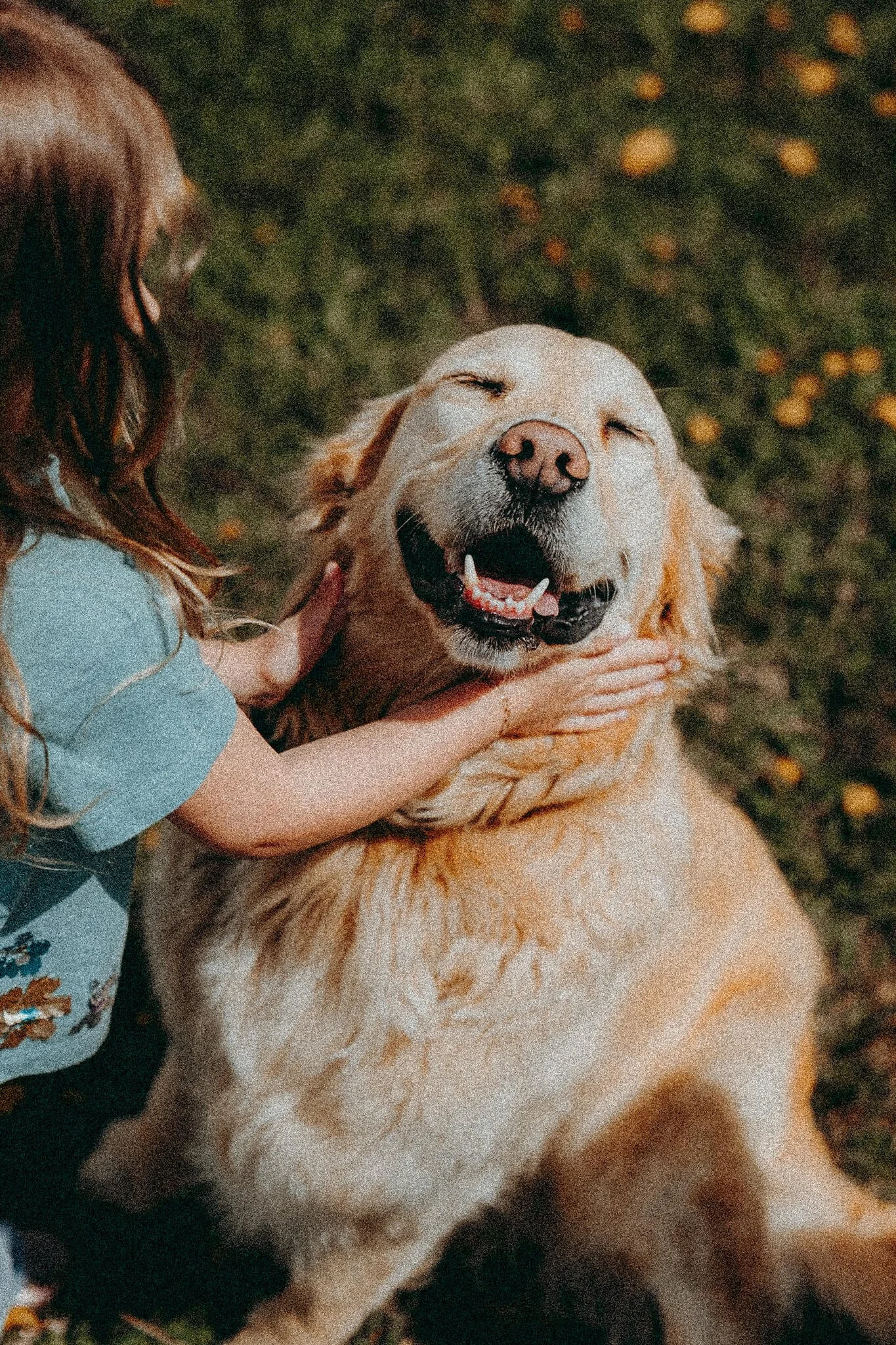 A young girl with reddish-brown hair petting a golden retriever dog, which is smiling with eyes closed, outdoors on a grassy area with yellow flowers.