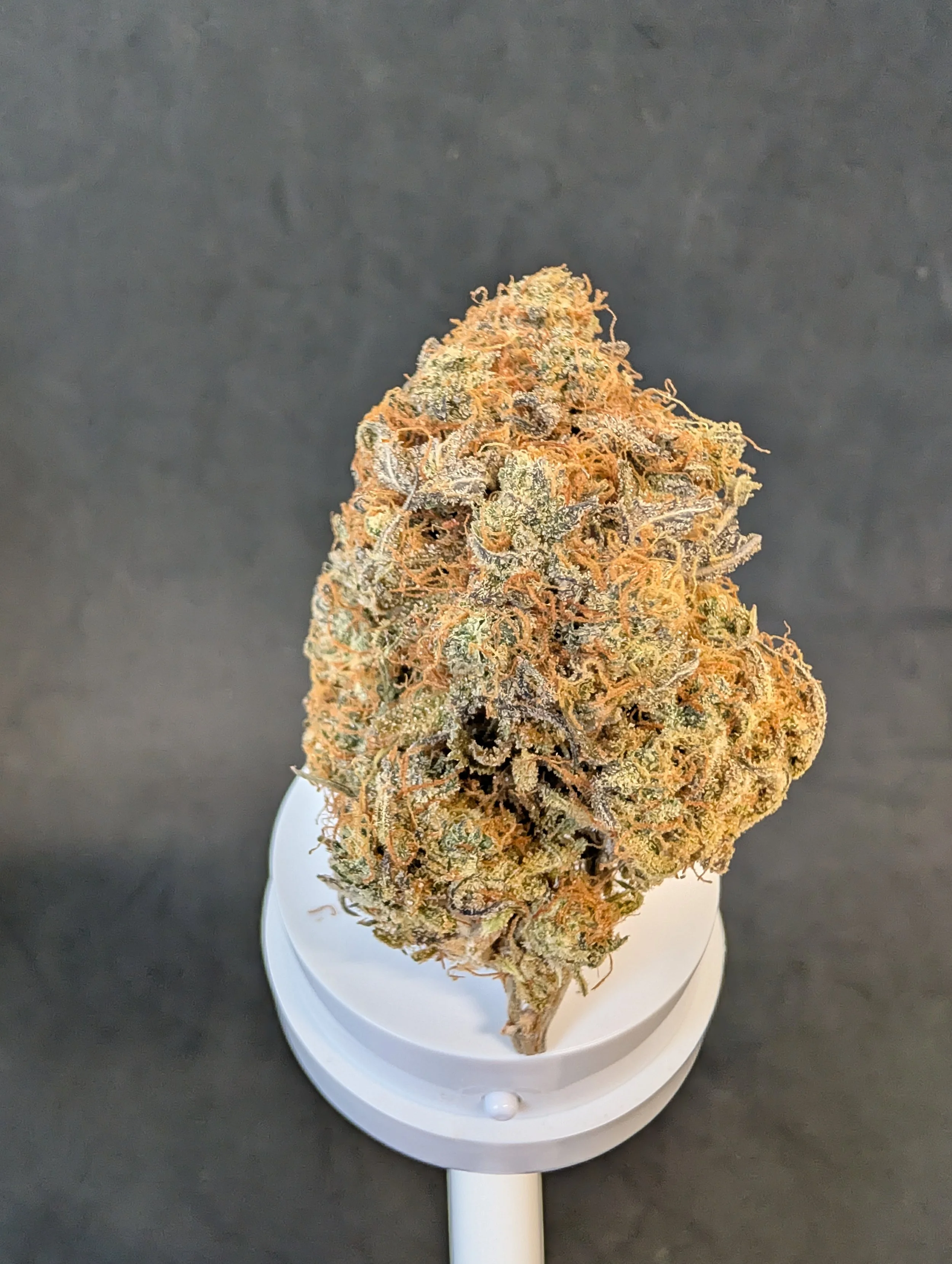 7g Ghost Train Haze Flower