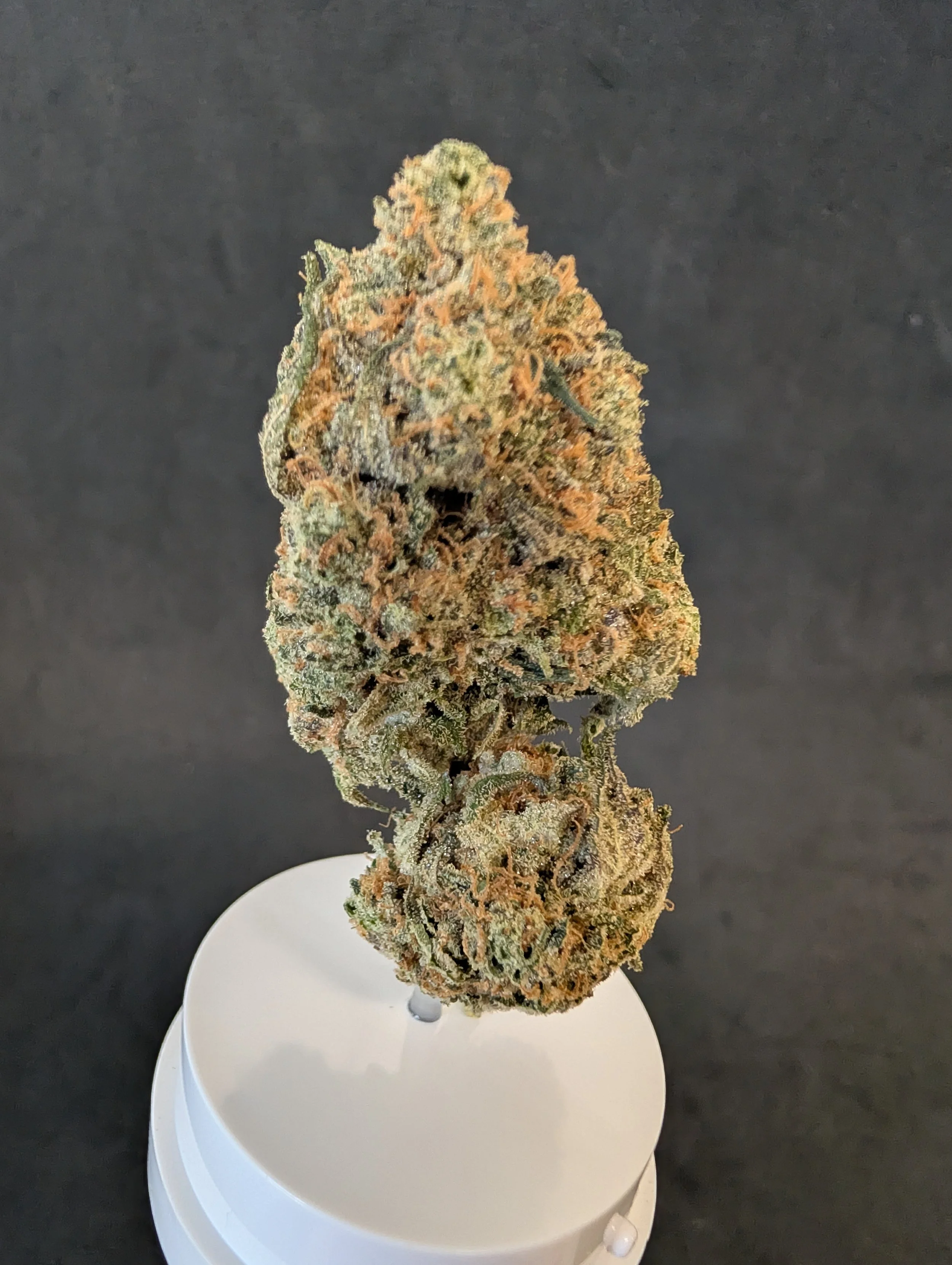 7g Gods Green Crack Flower