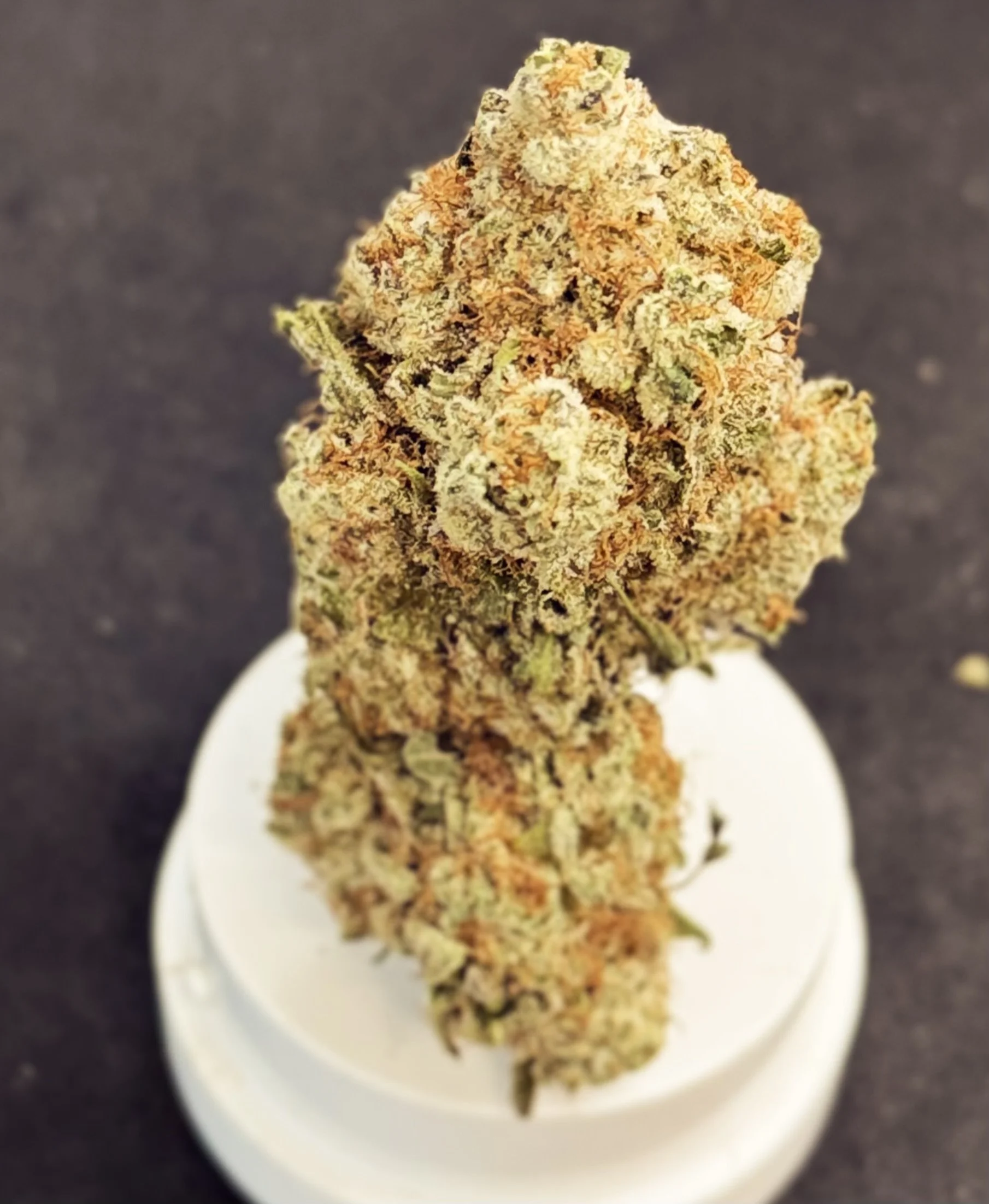 7g King Flower