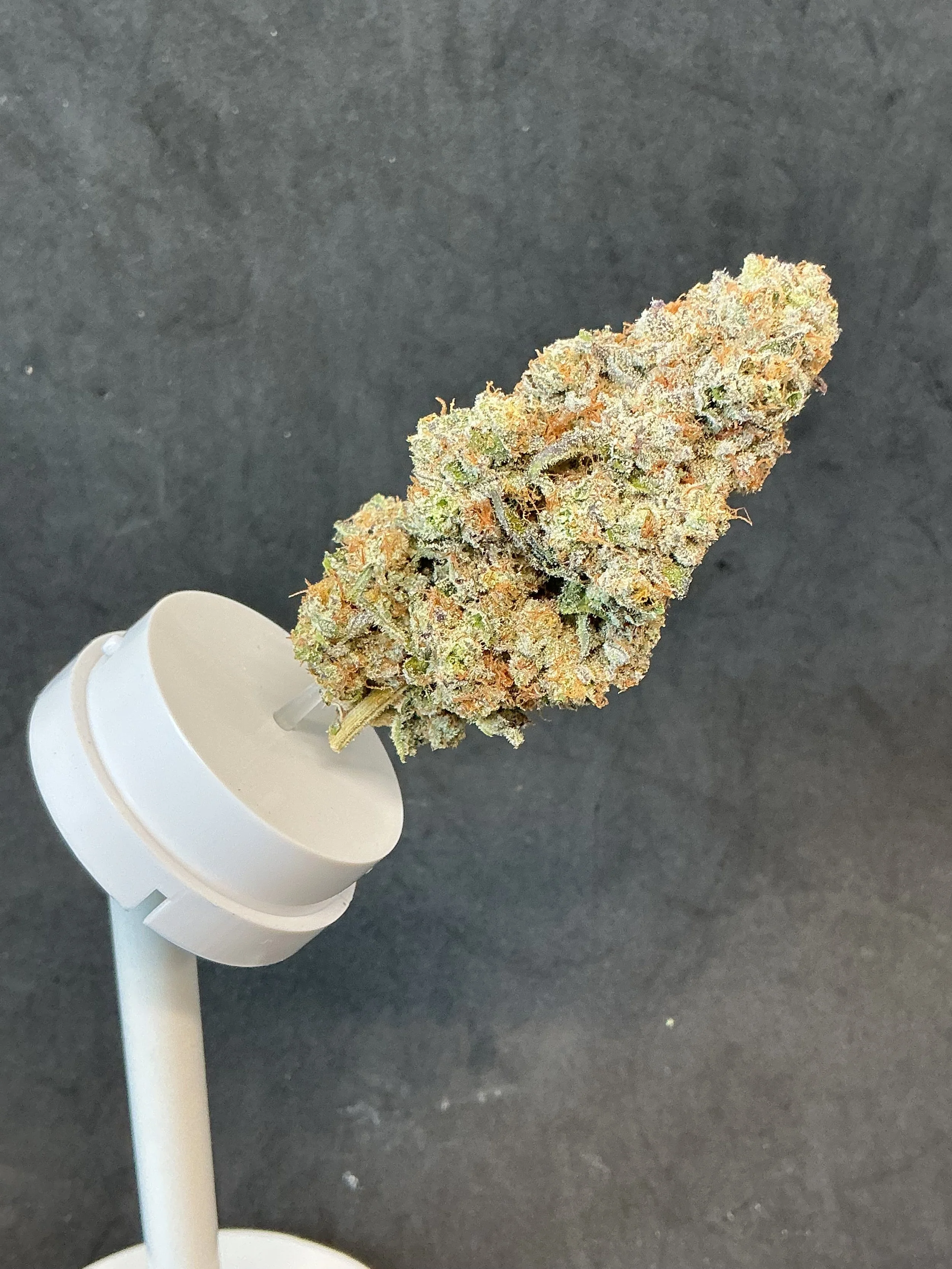 7g Granddaddy Grape Flower