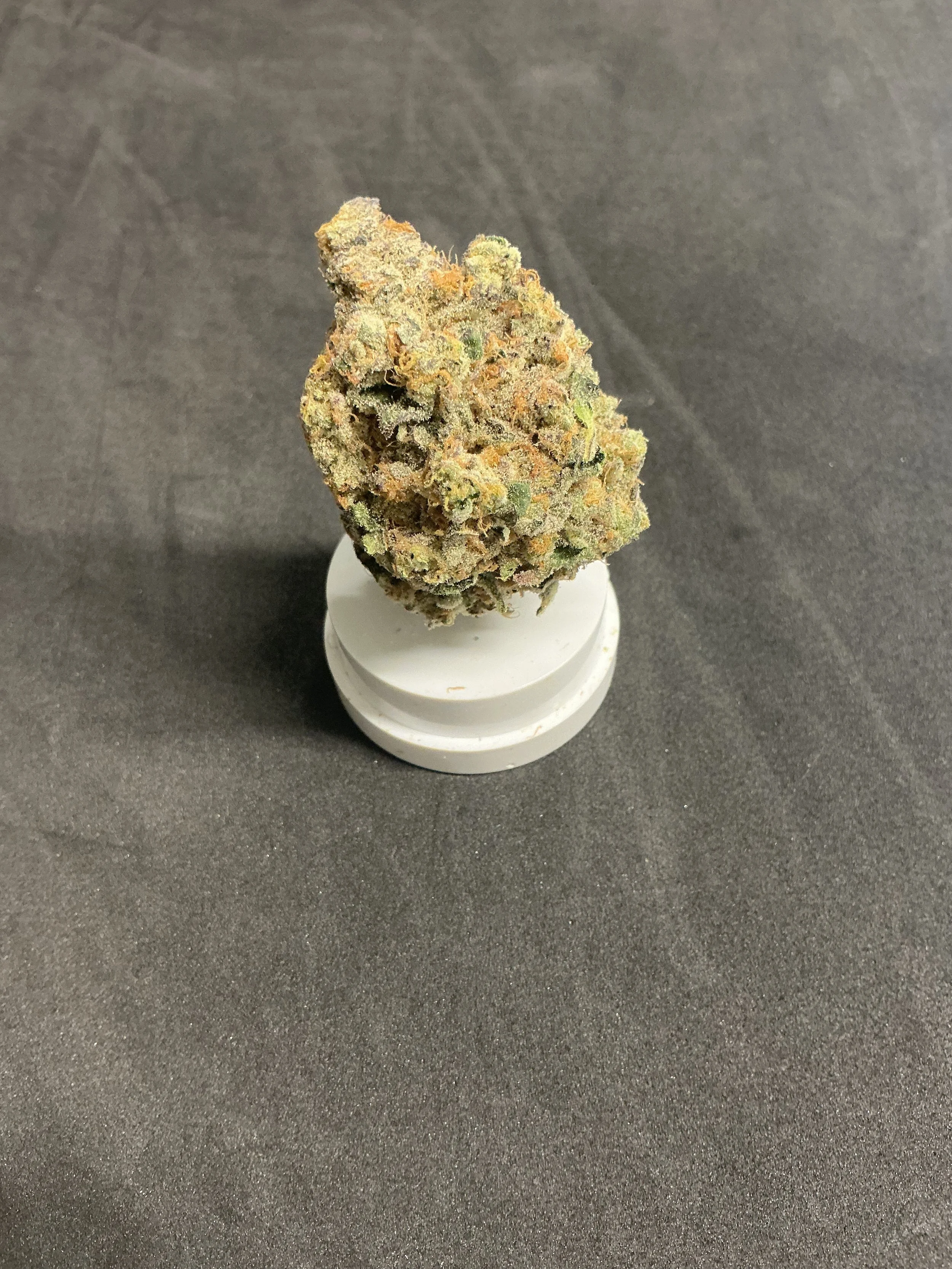 7g Brightside Flower