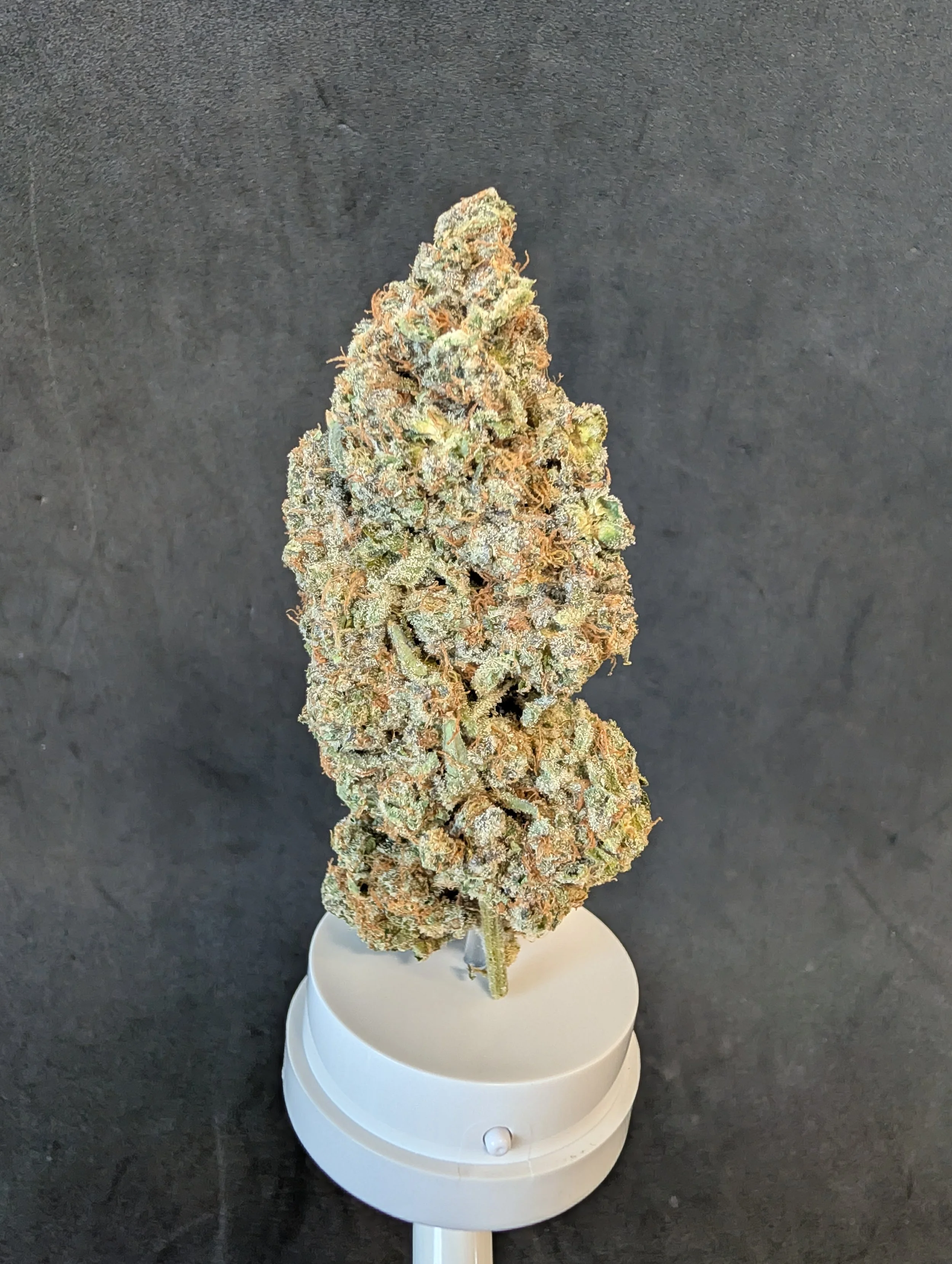 7g Afghan Delato Flower