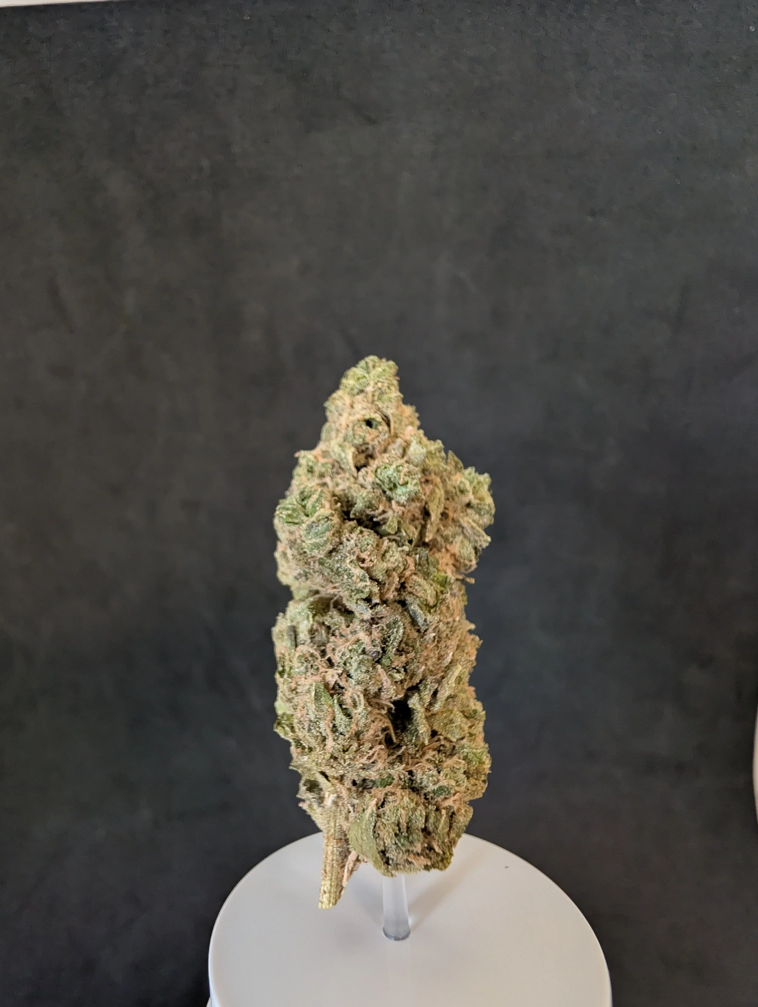 14g Pink Lemon Haze Flower