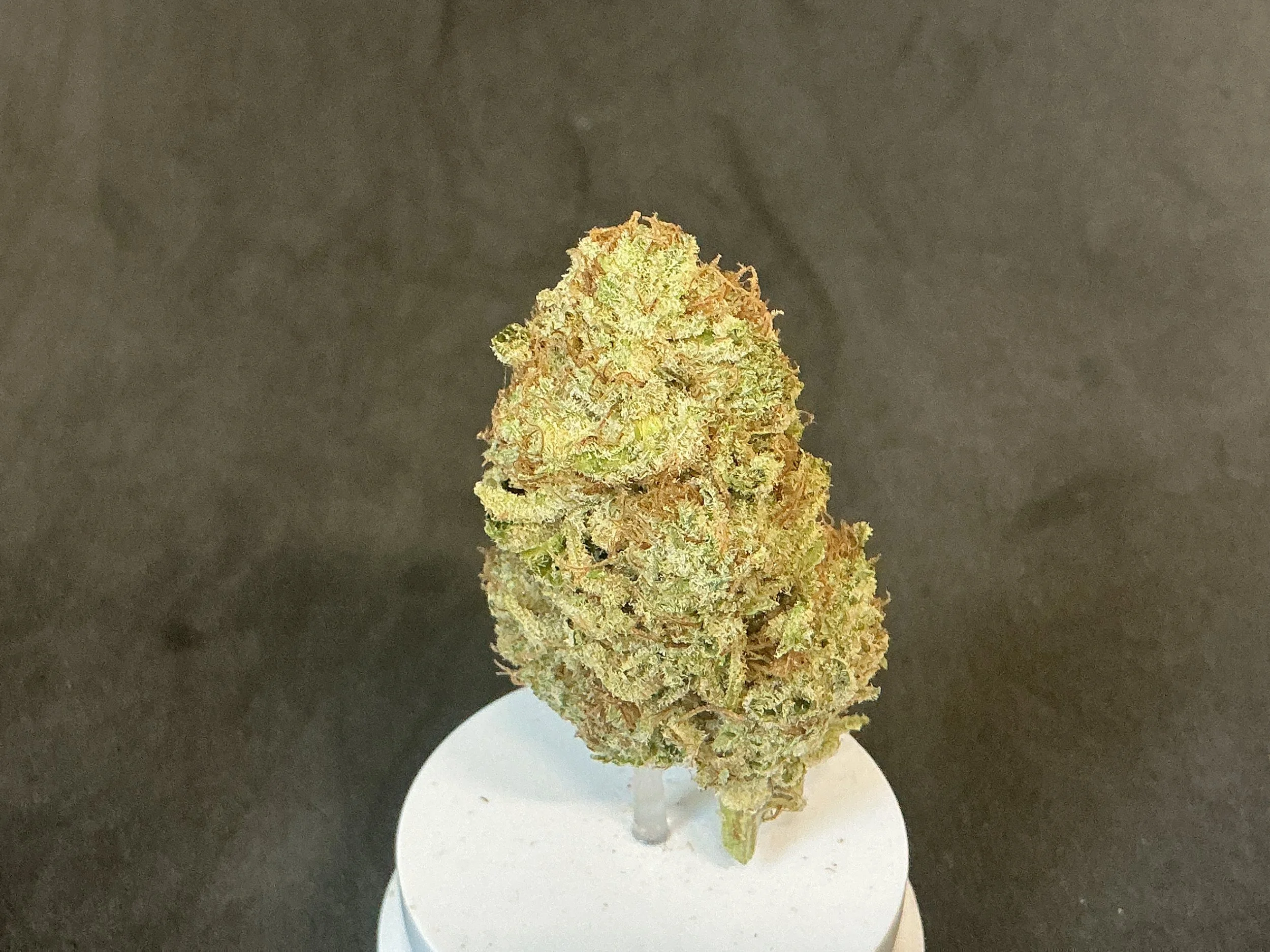 7g Permanent Marker Flower