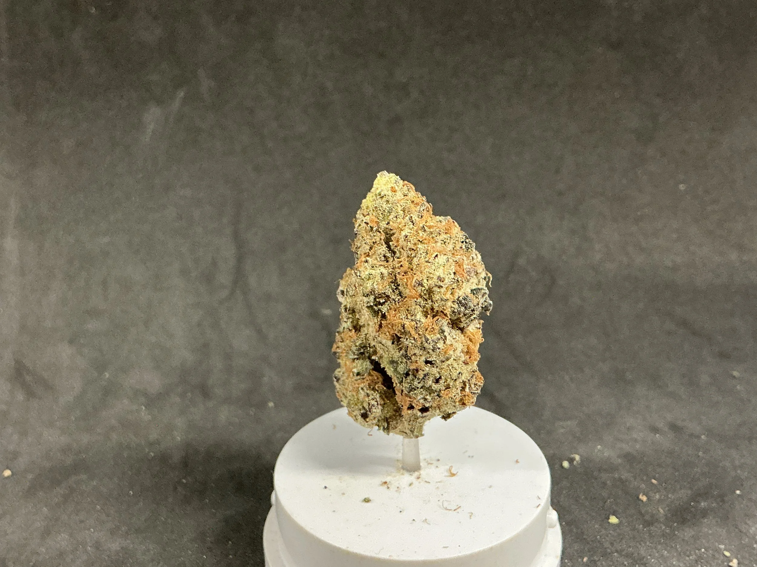 7g Substitute Teacher