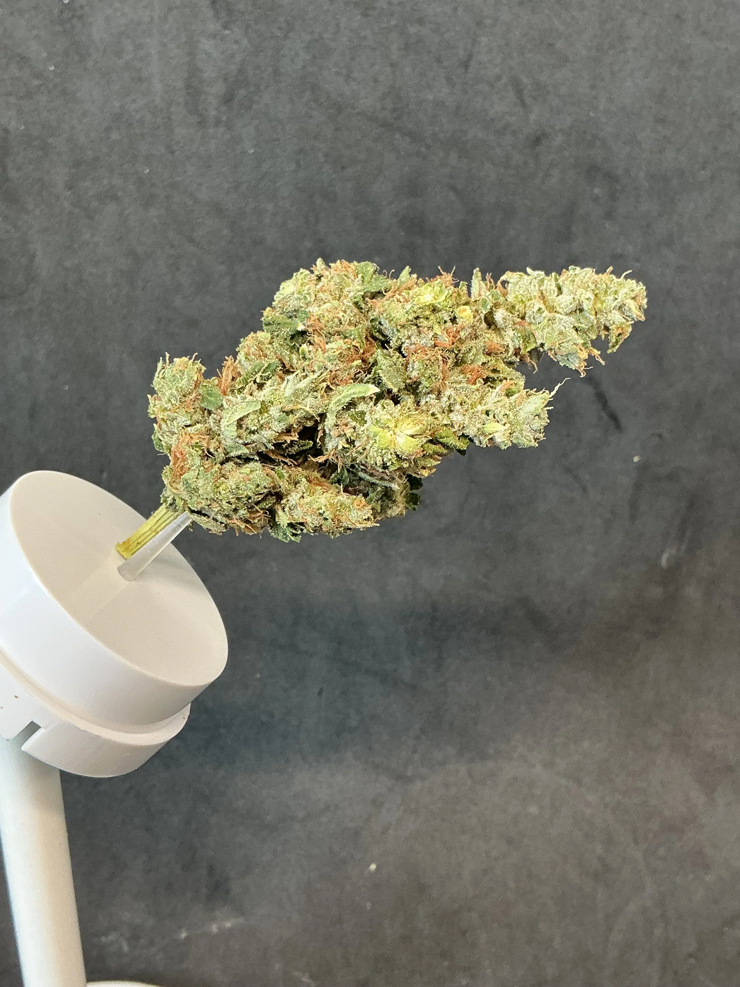 7g Tom Ford Pink Kush Flower