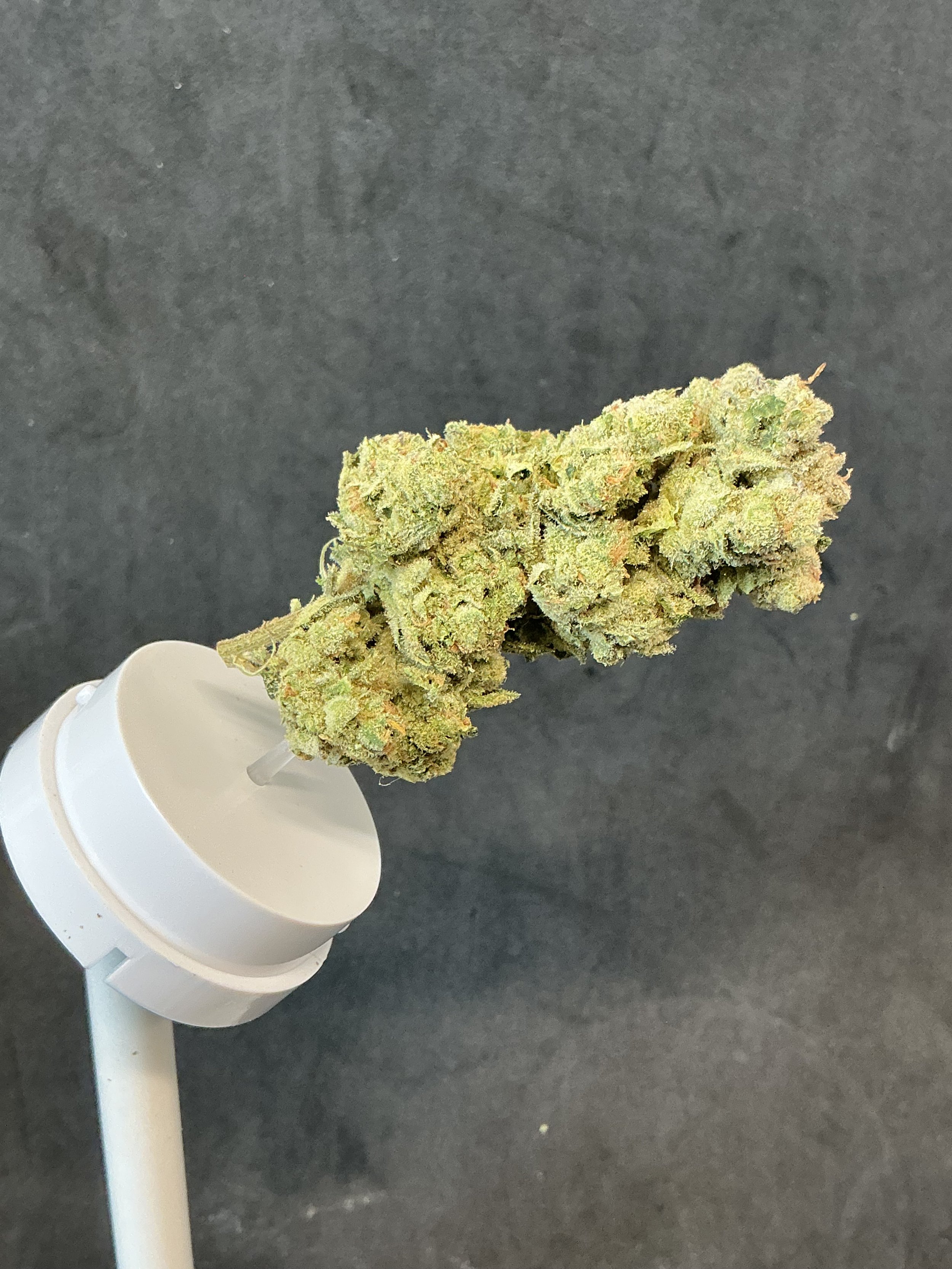 7g Peanut Butter Gelato Flower