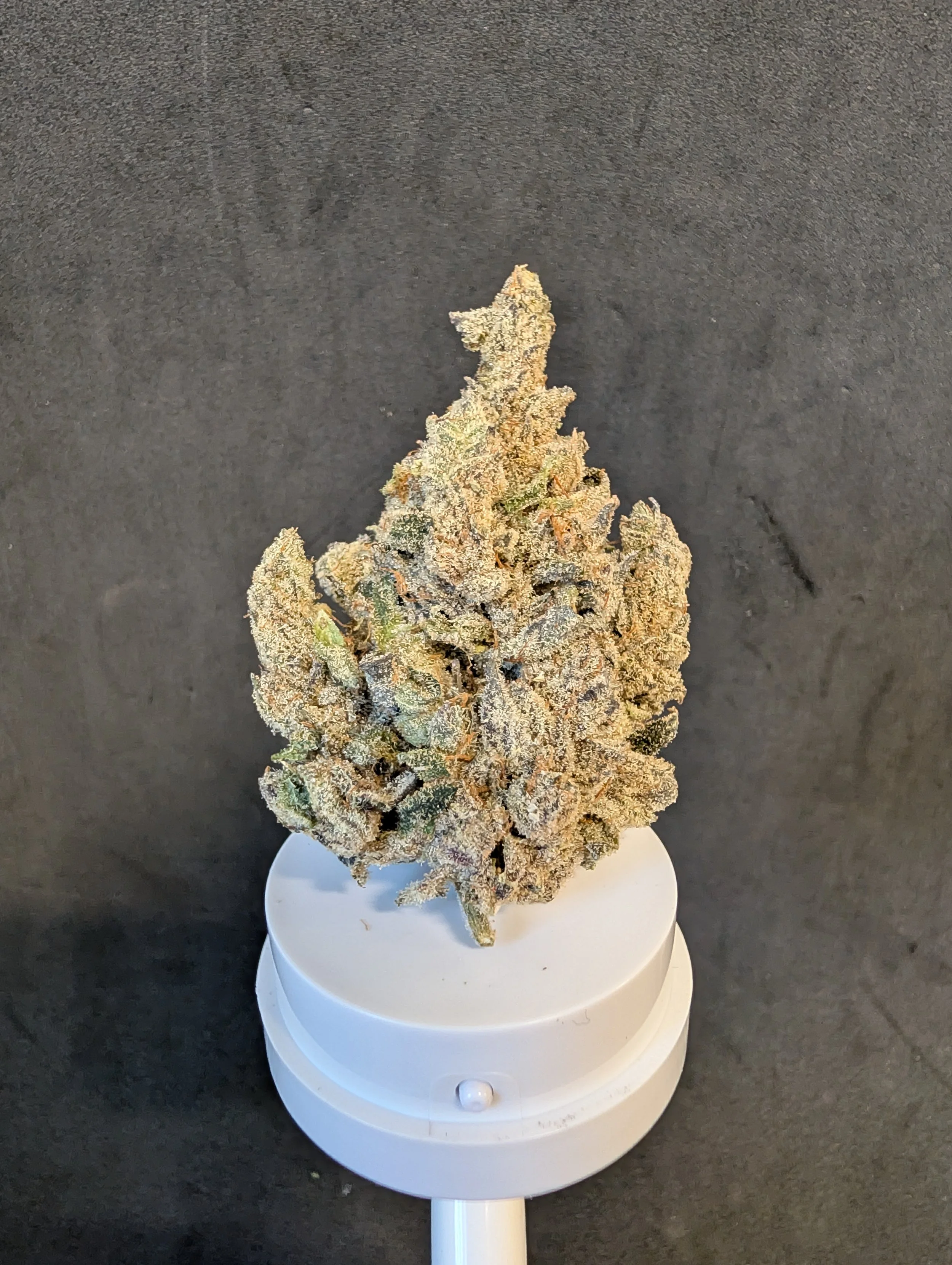 7g Blueberry Cherry Flower