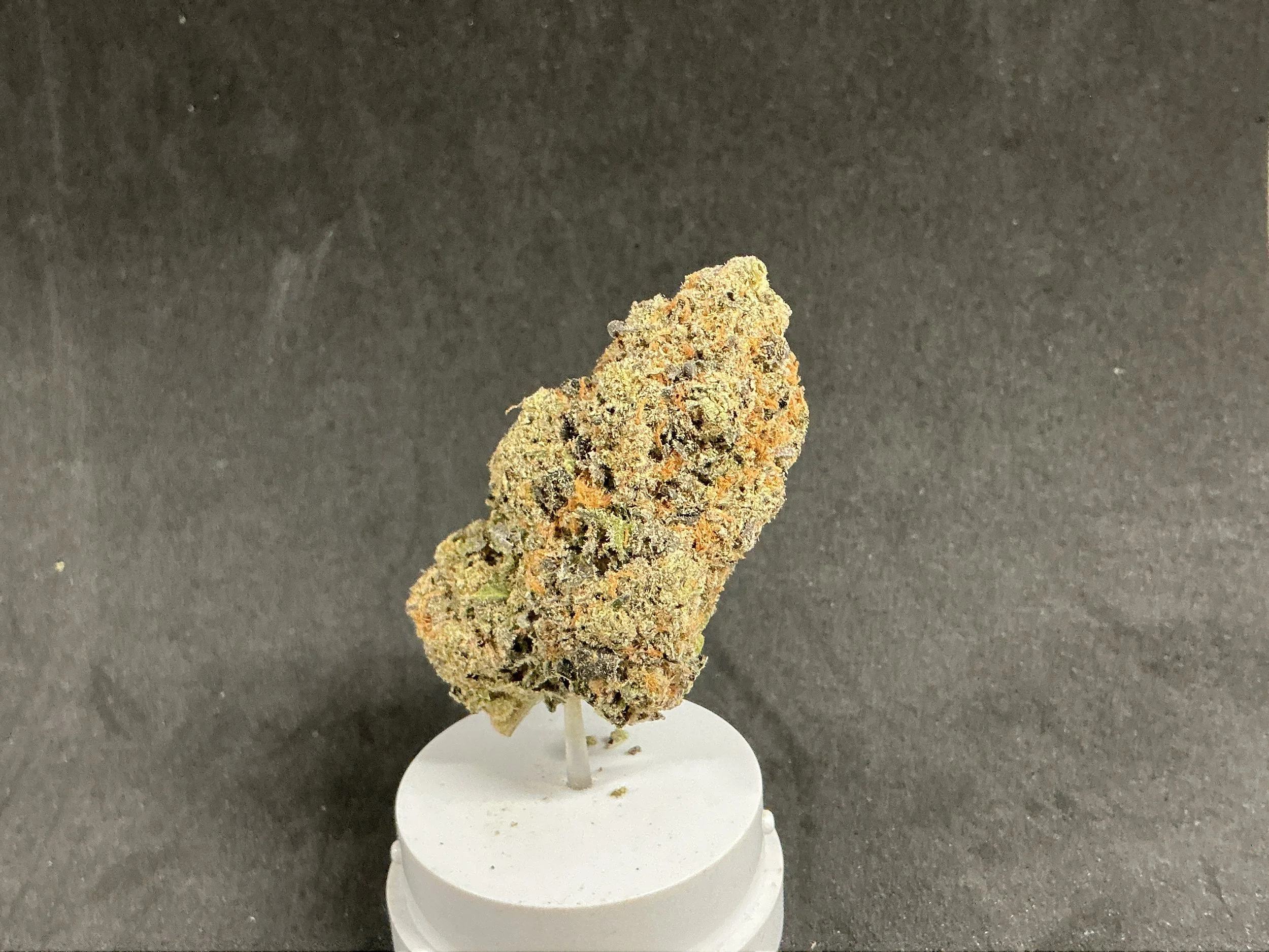 7g Animal mintz Flower