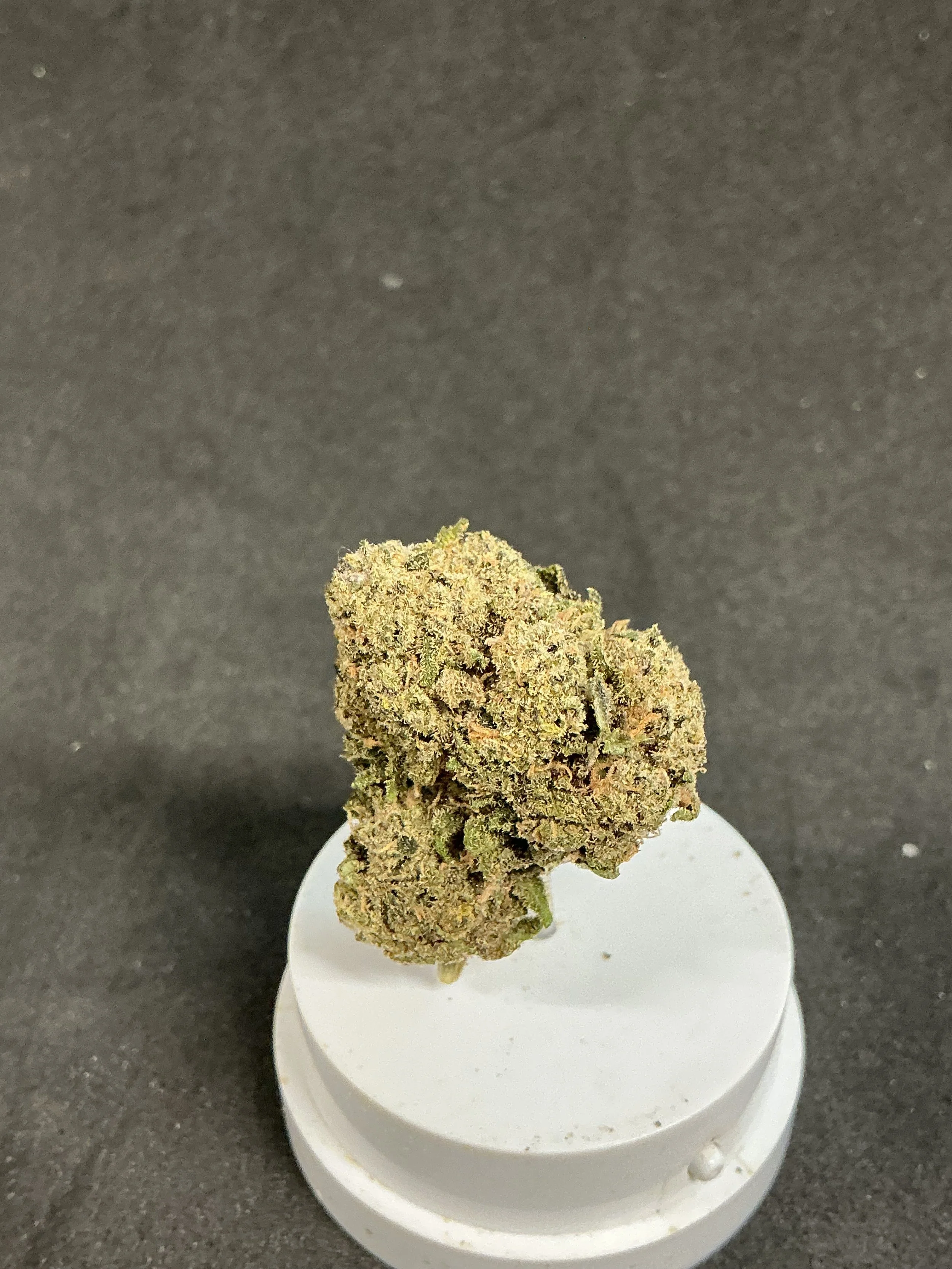 14g Tangerine Treat (Sativa)