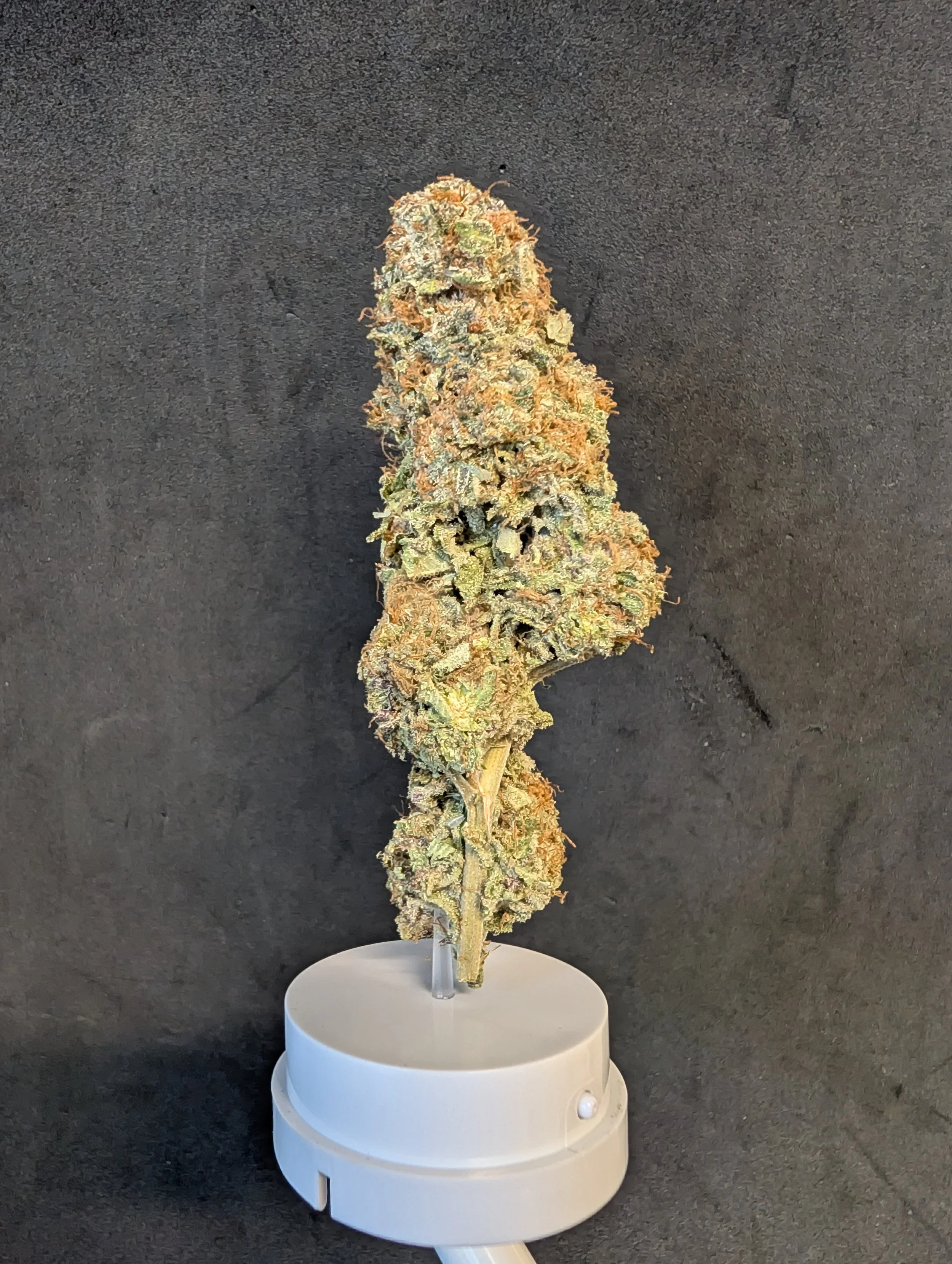 14g Orange Kush Flower
