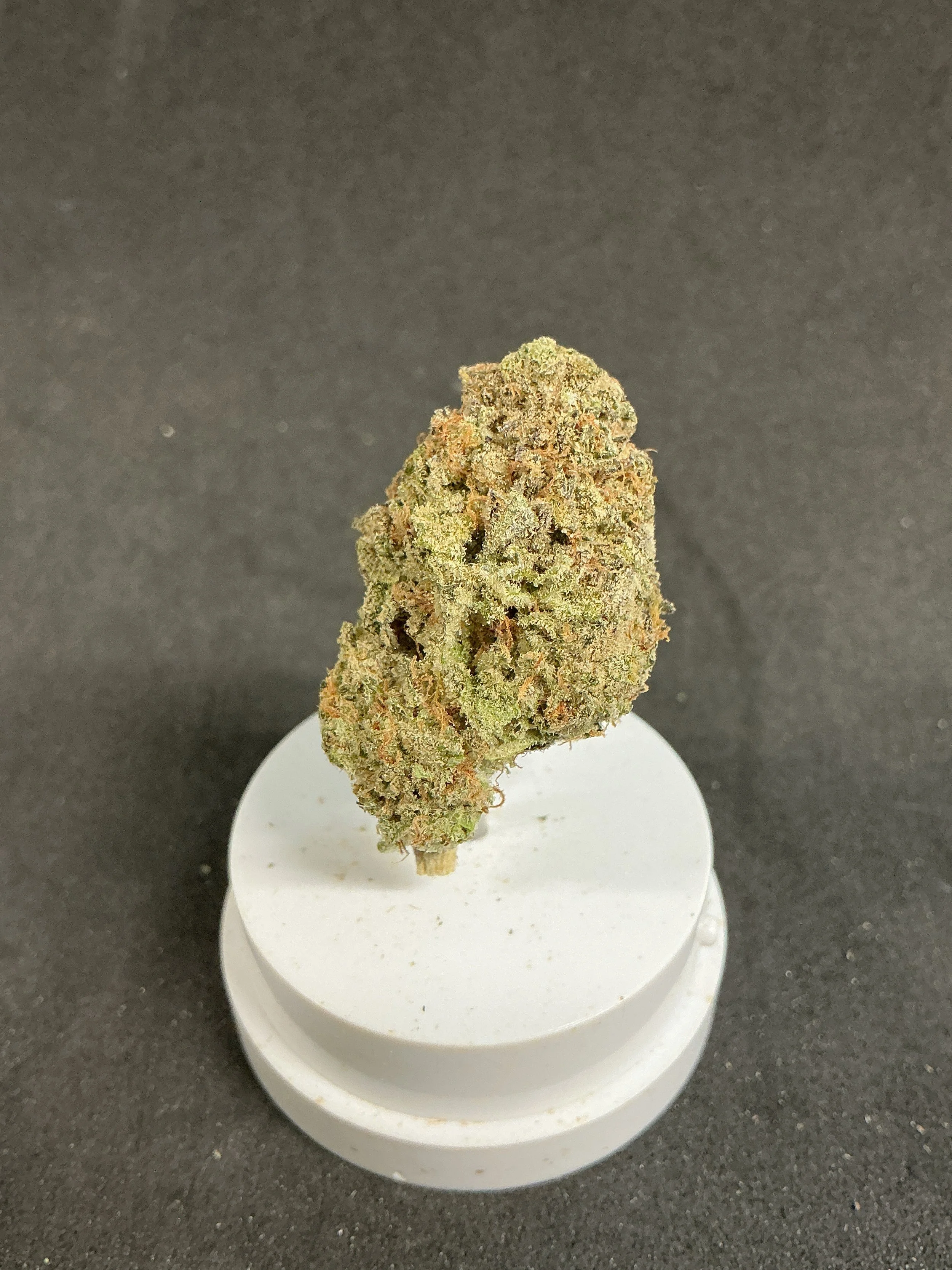 14g Strudelz (Hybrid)