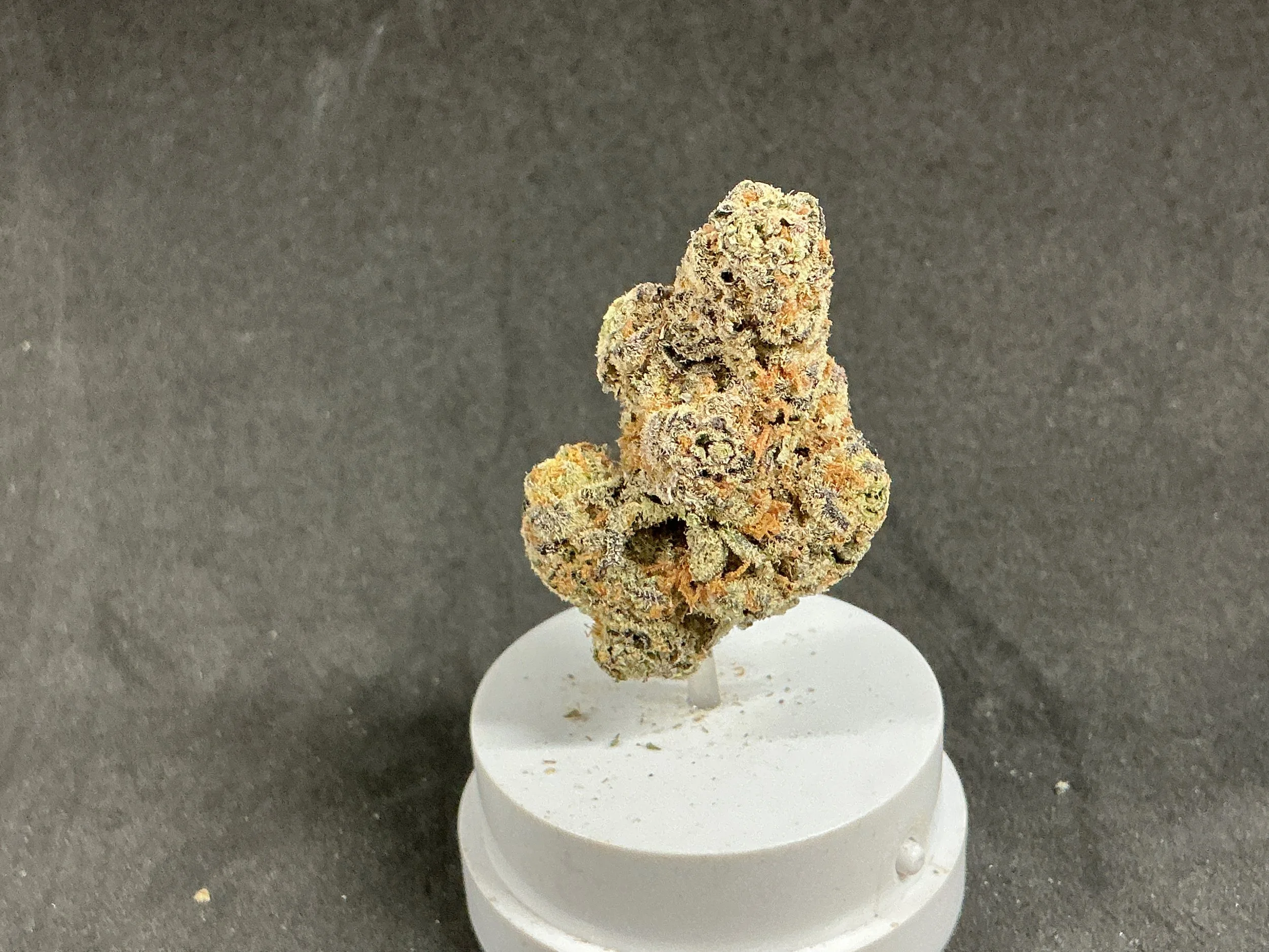 7g Glitter Bomb Flower (Hybrid)