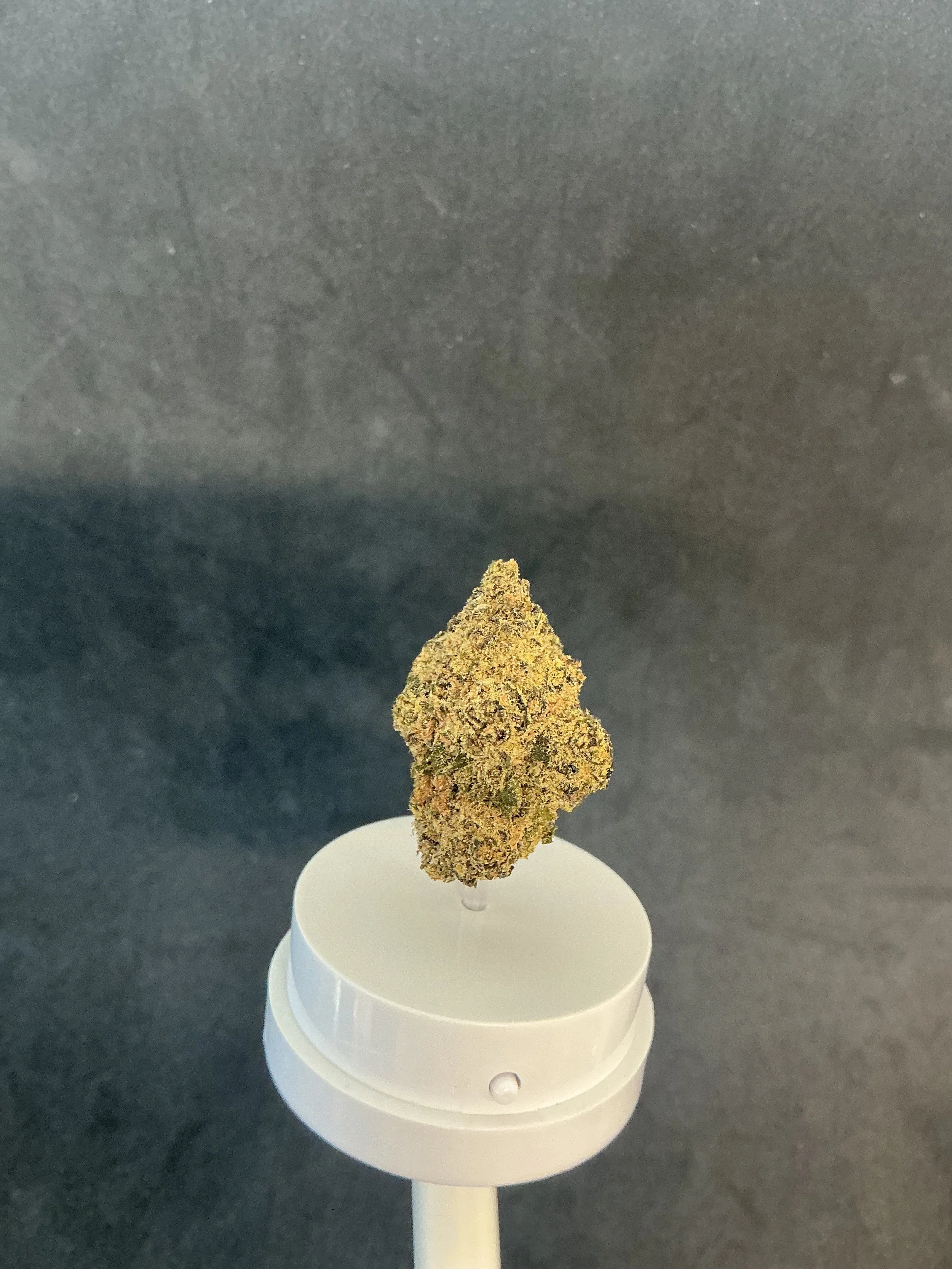 7g Purple Gusher Flower