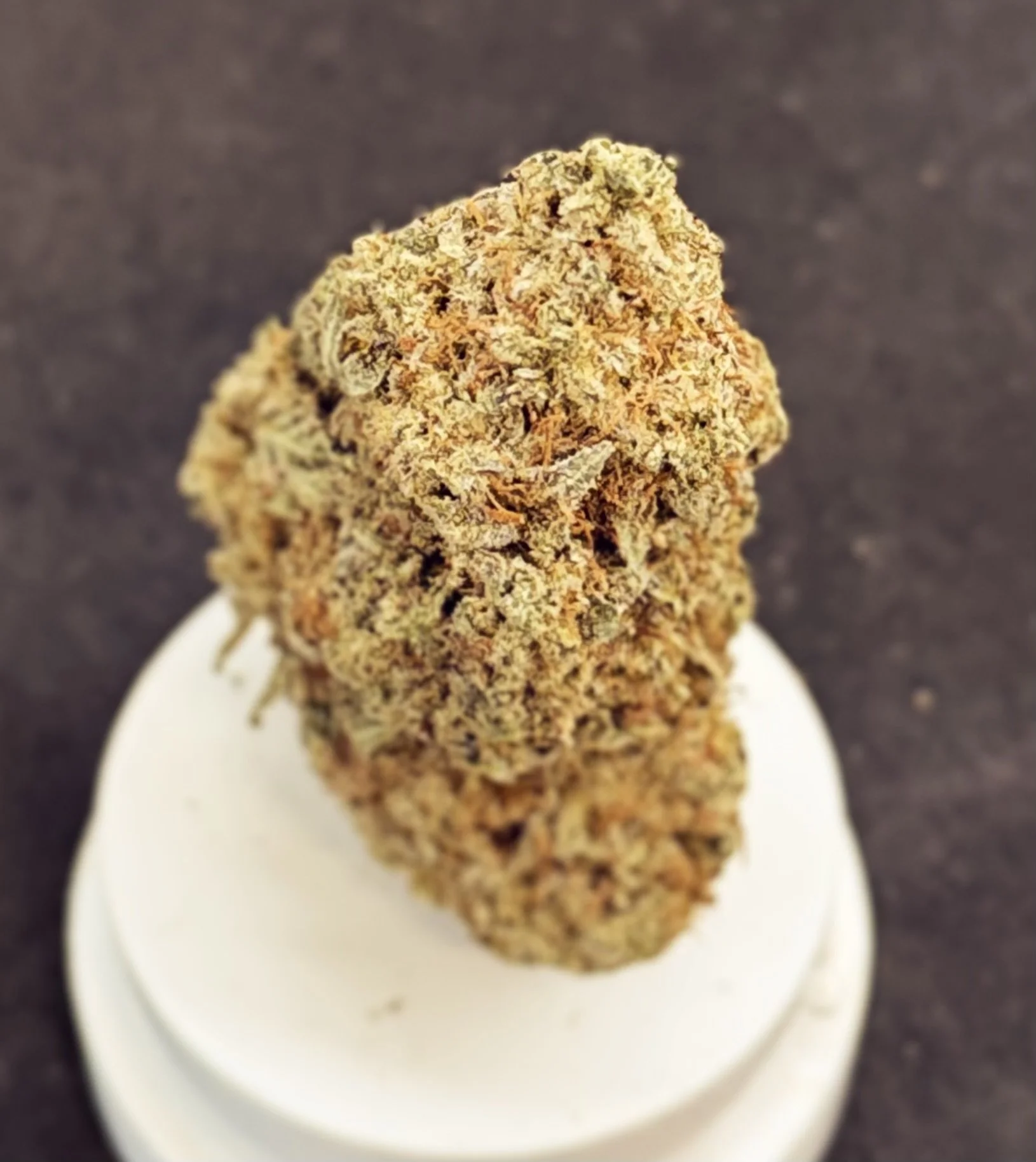 7g Lemon Skunk Flower