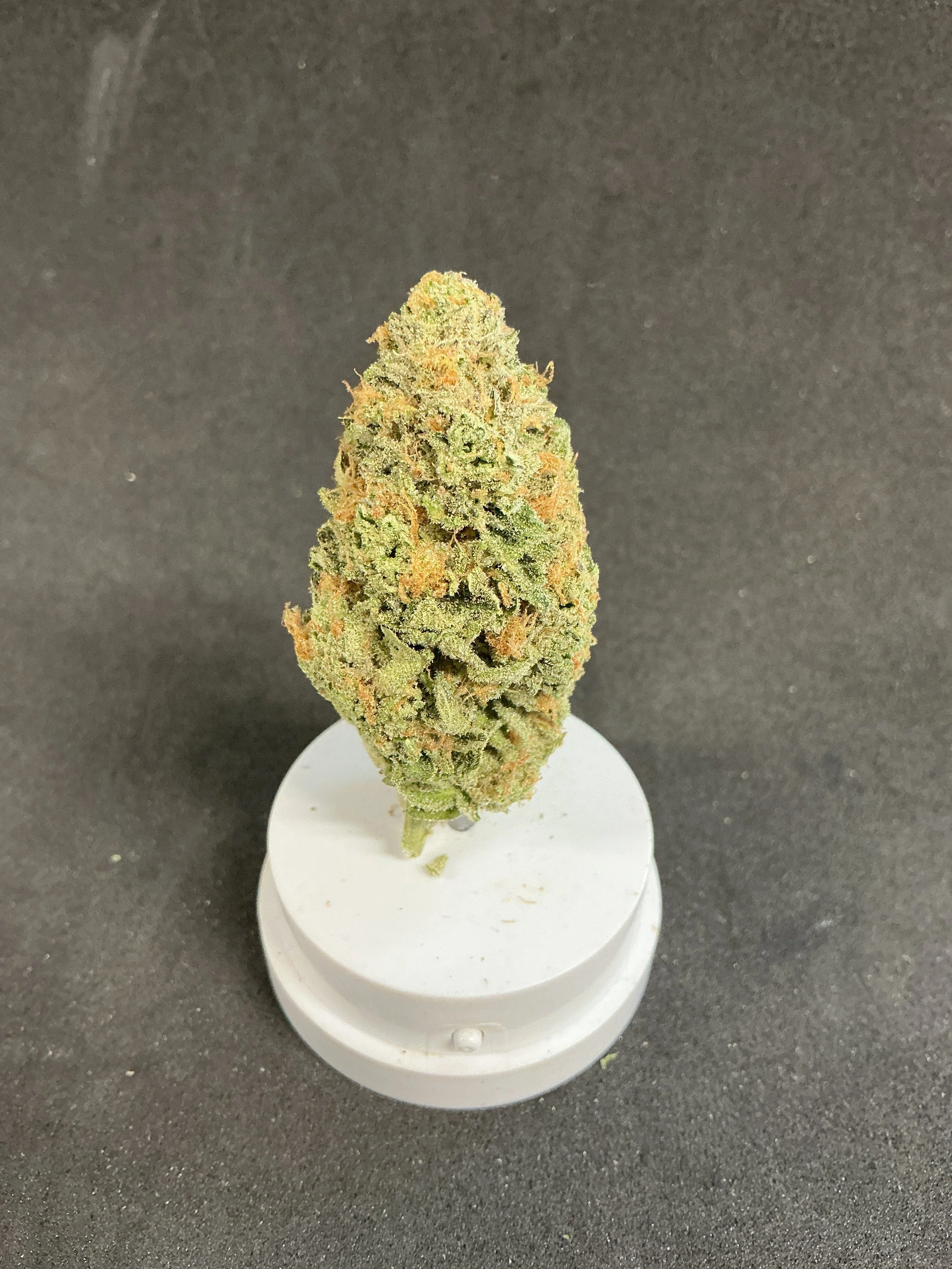 14g Propane ( Sativa) flower