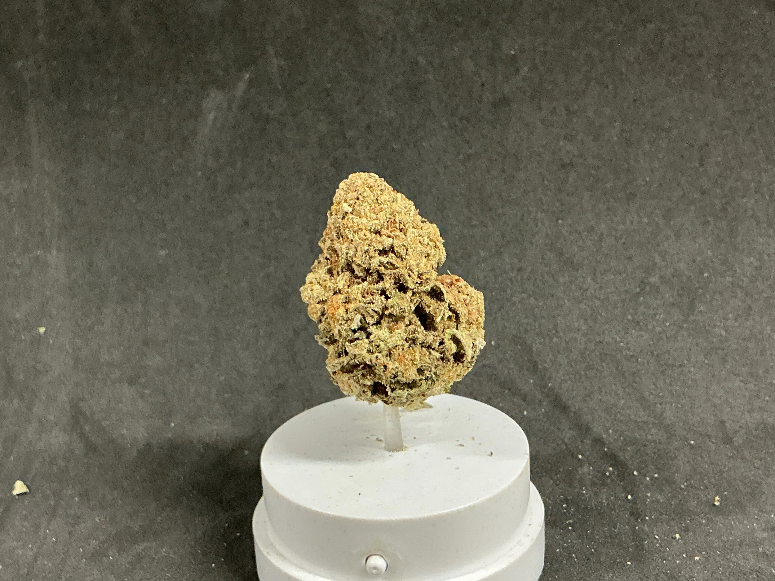 7g Cookie Dough Flower