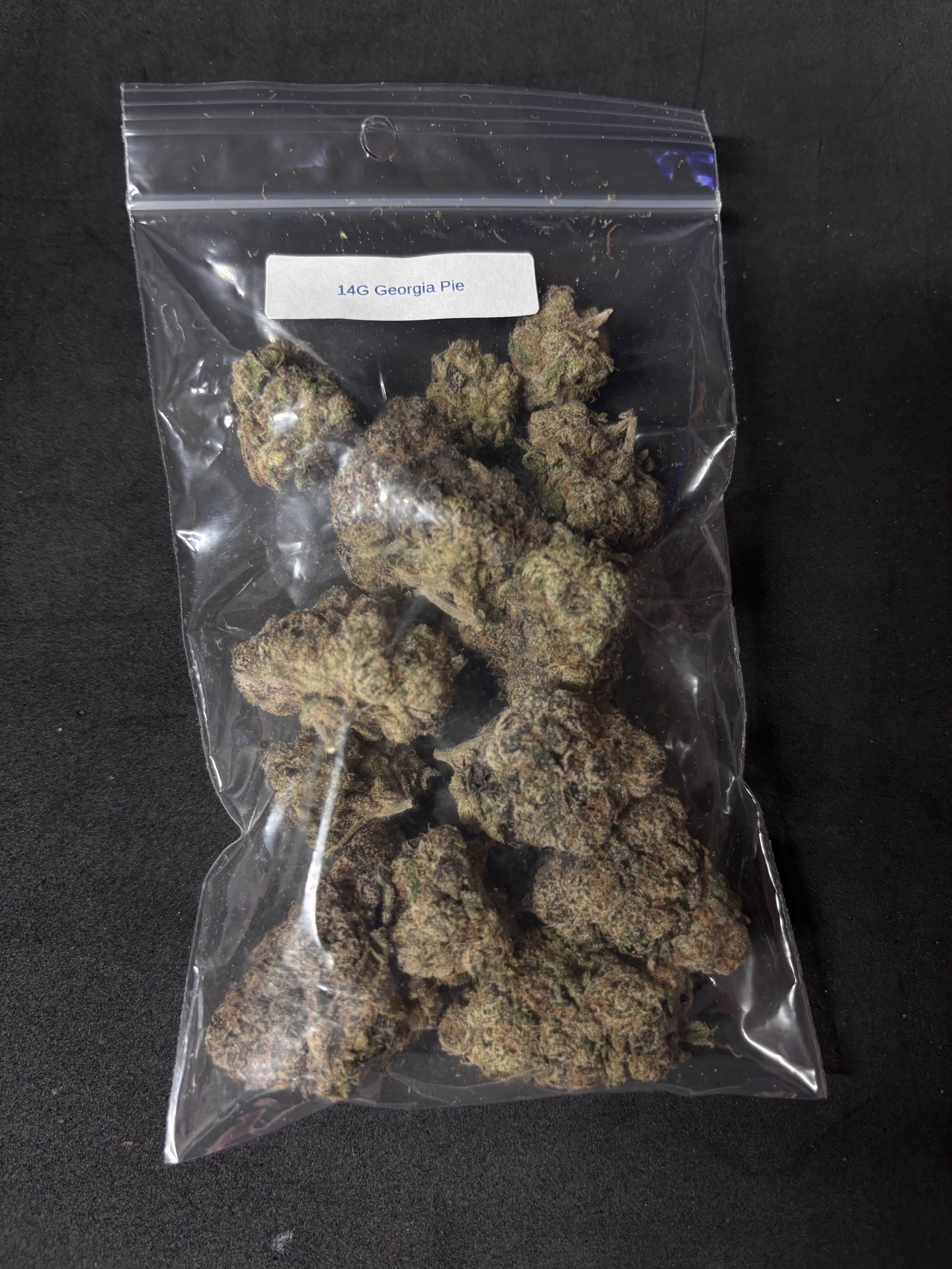 14G Georgia Pie Flower