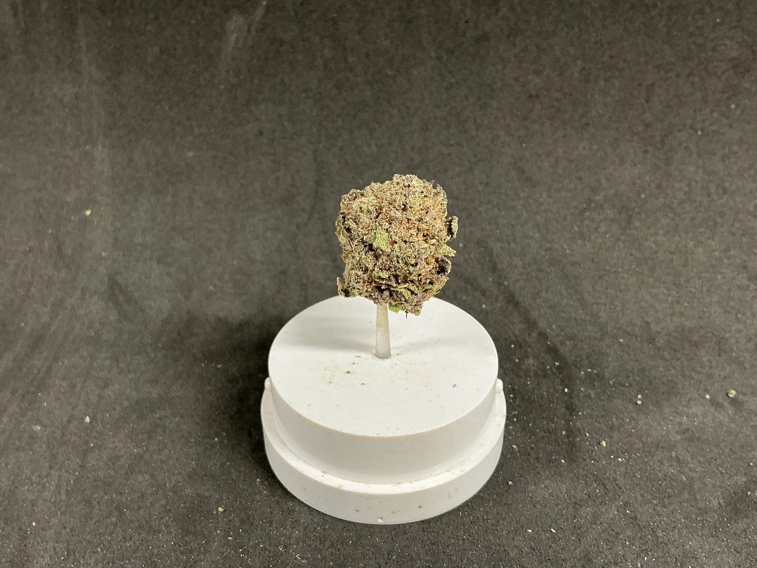 7g Tropicana Cookies Flower (Sativa)