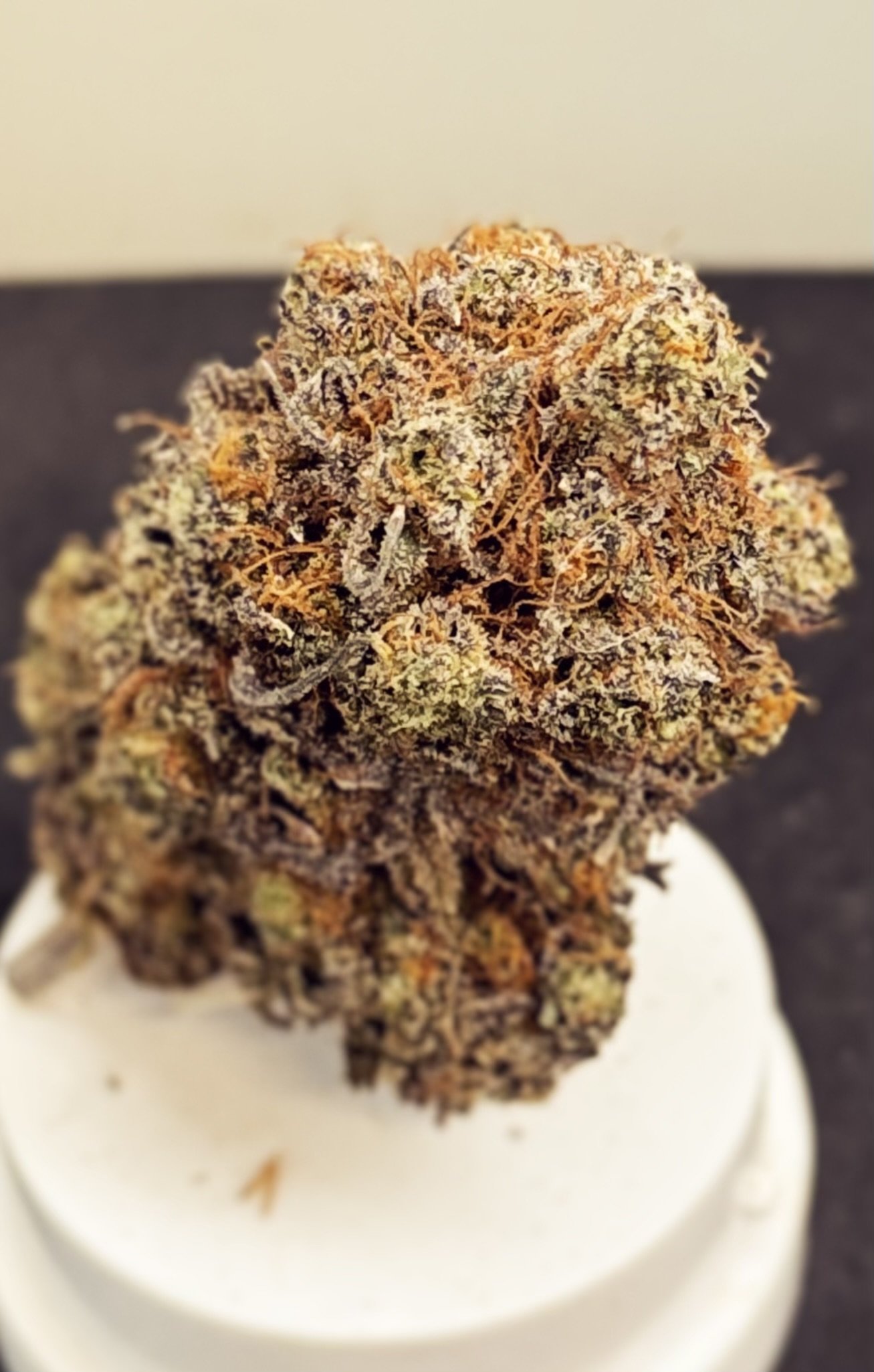 7g Galactic OG Flower