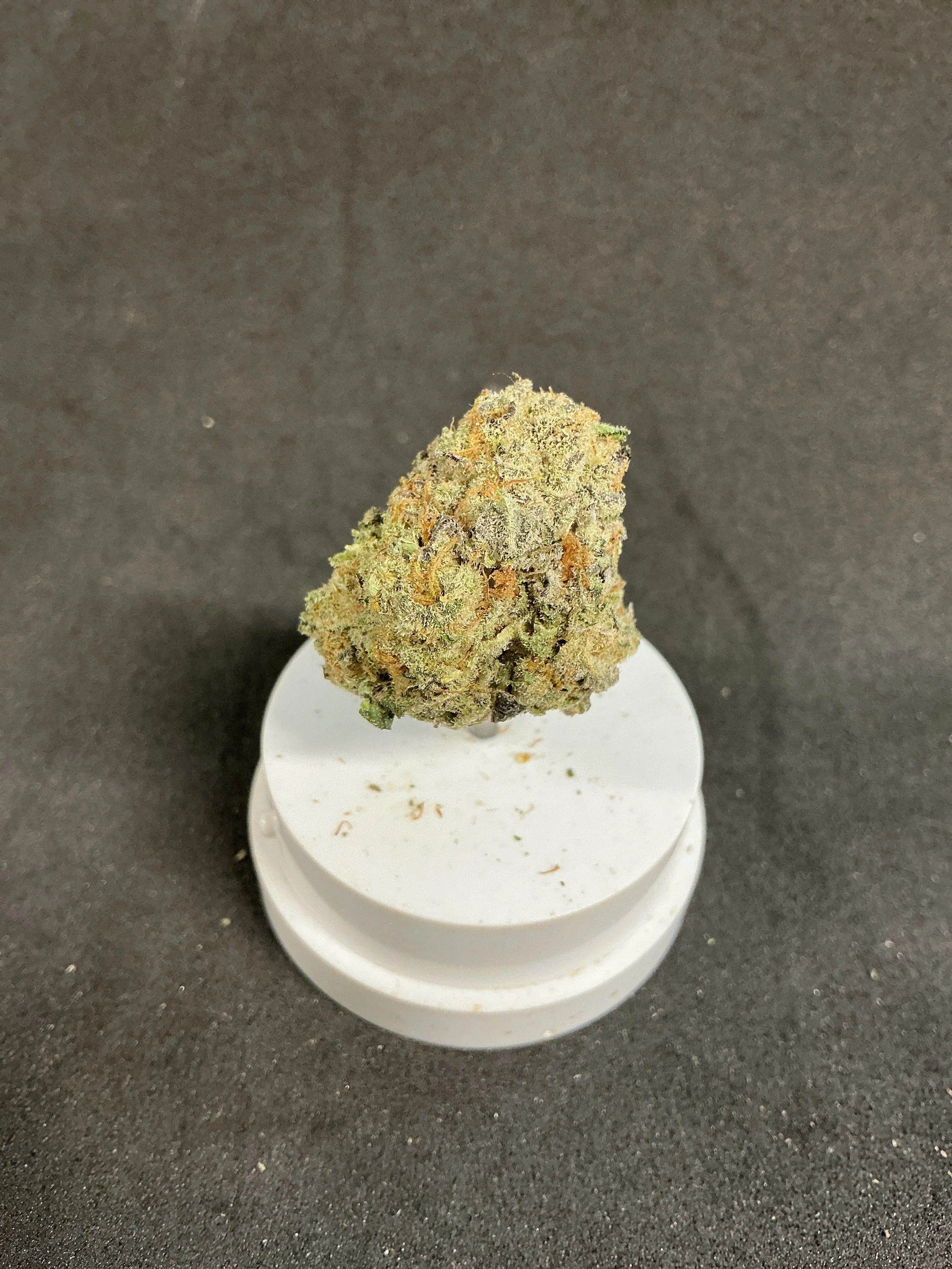 14g Apes in space flower