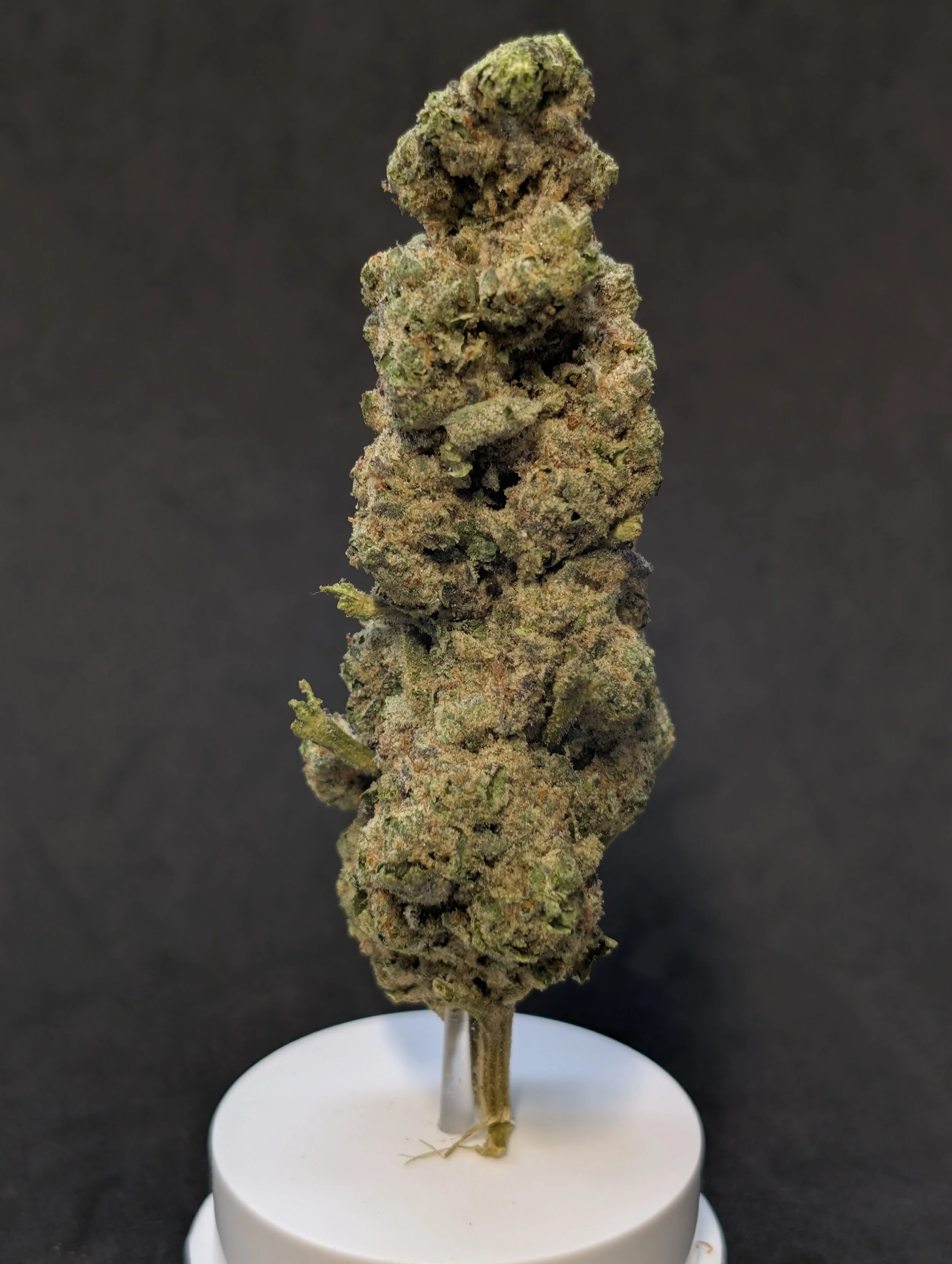 14g Ice Cream Flower