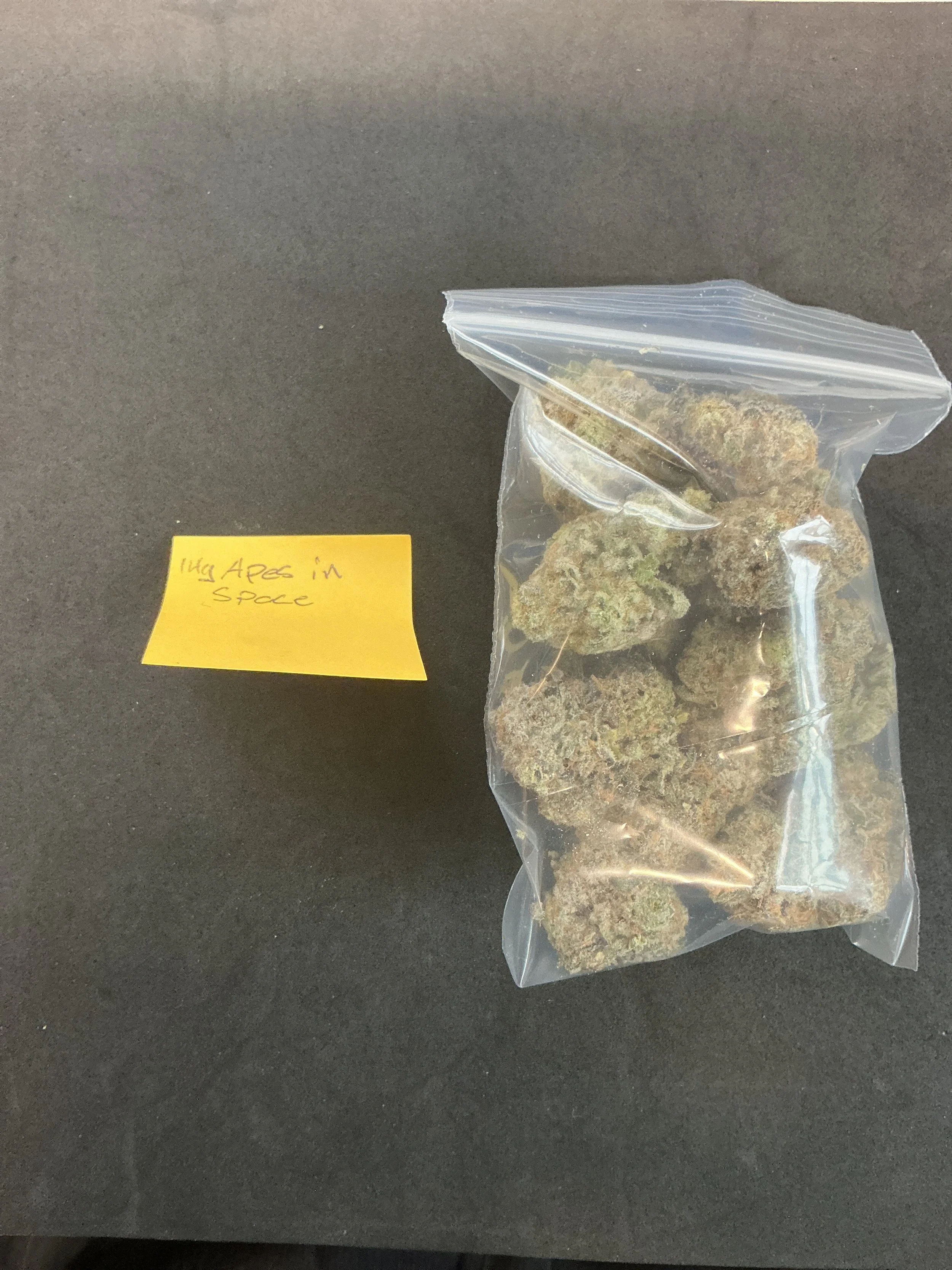 14g Apes in space flower