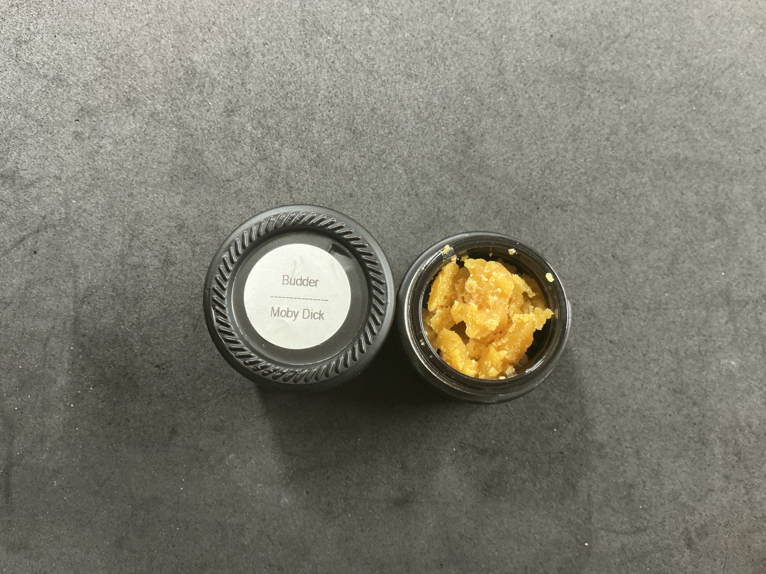 7G Moby Dick Budder (Lady Of The Woods)