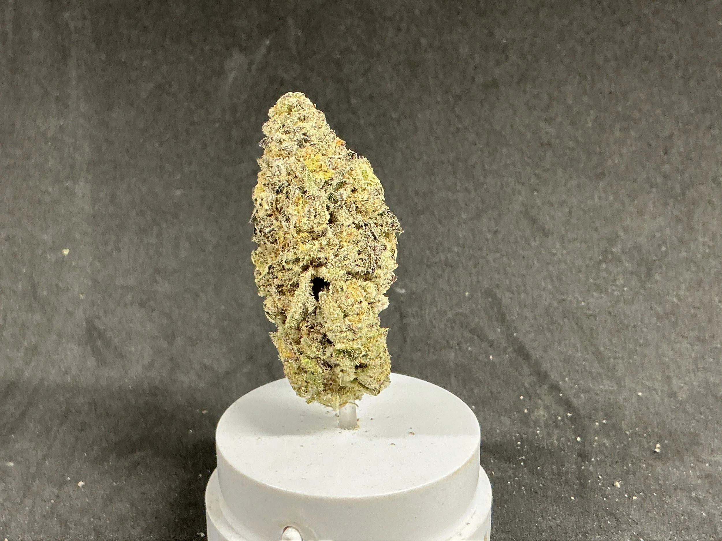 7g Cowie Wowie Flower