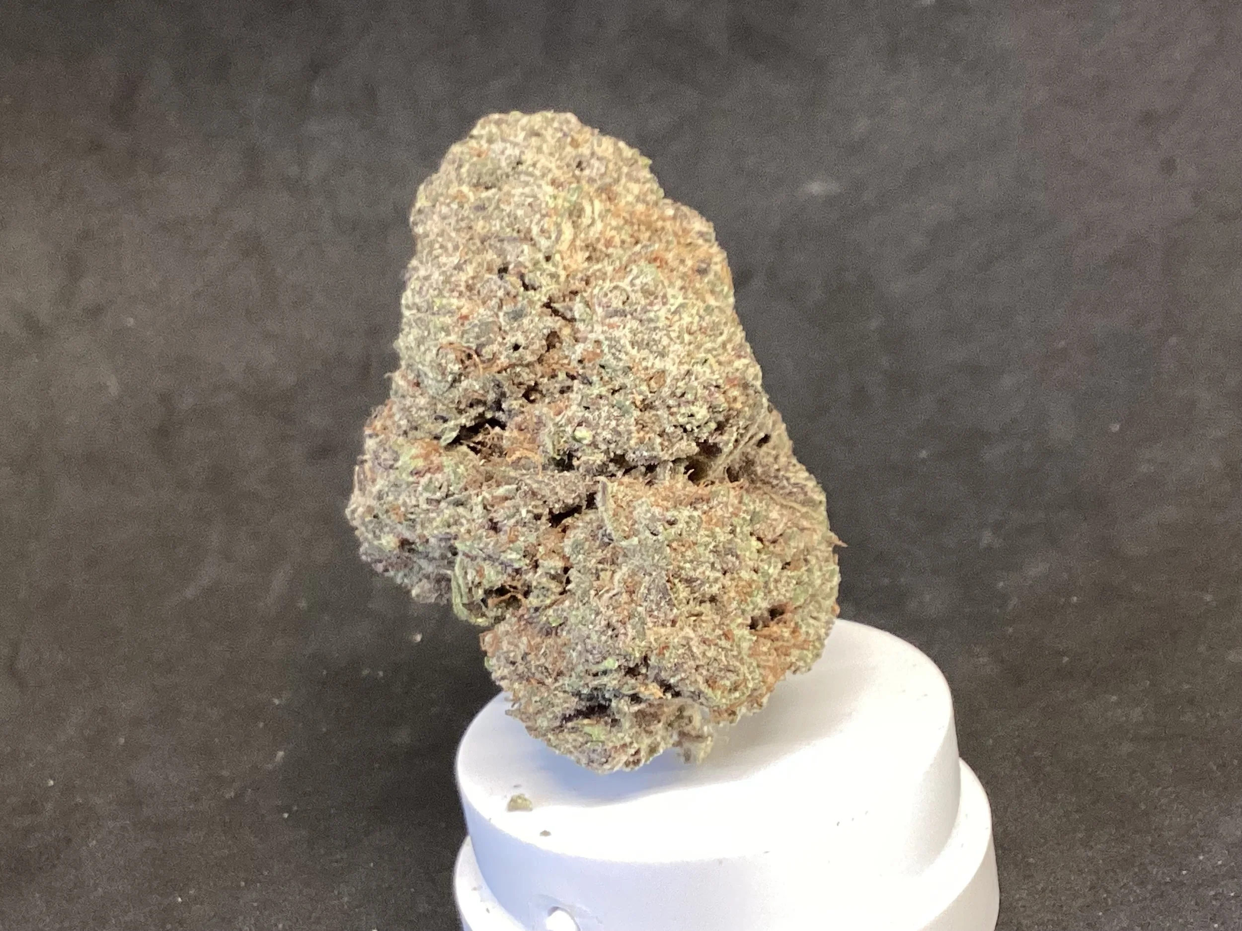 IMG_0239.jpeg (Copy)