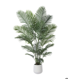 Image 10-28-25 at 3.06 PM (1).png