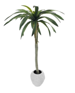 Image 10-28-25 at 9.01 PM (2).png