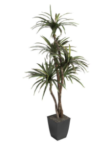 Image 10-28-25 at 9.19 PM (1).png