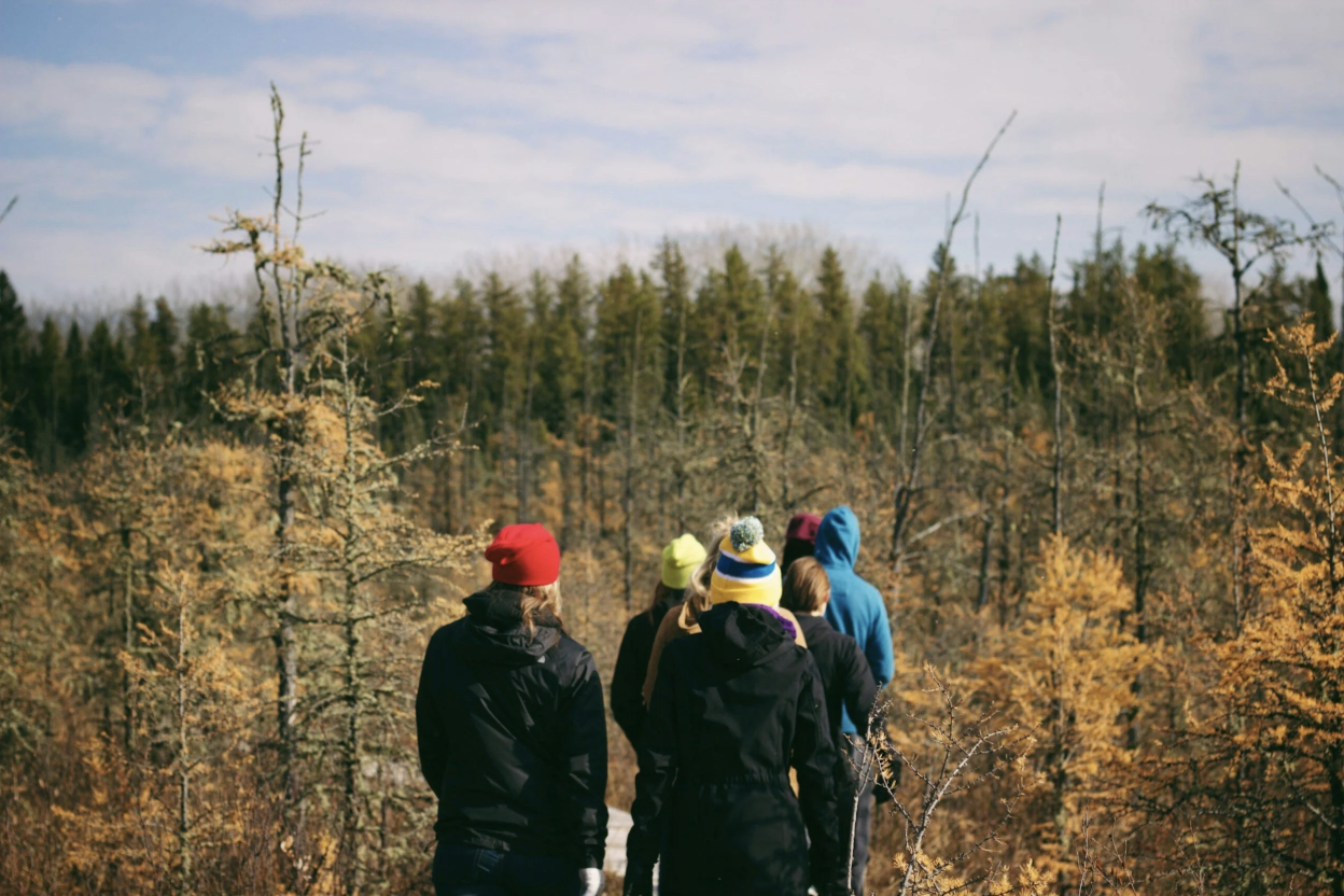 How Much Does Forest Therapy Certification Cost?