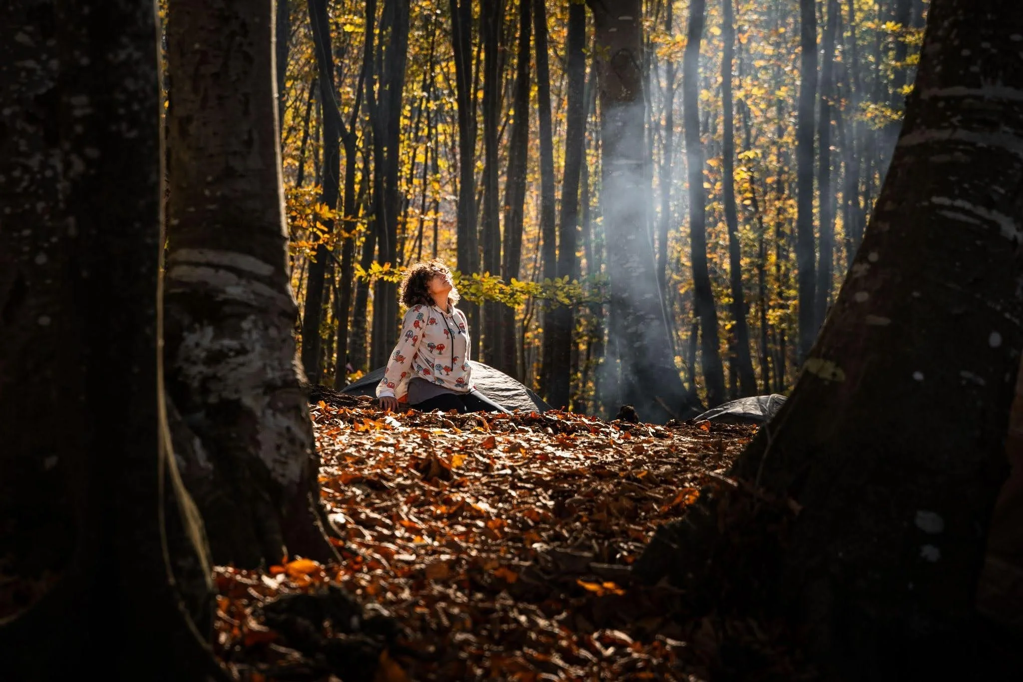 What Are Somatic Practices in Forest Therapy: Everything You Need To Know