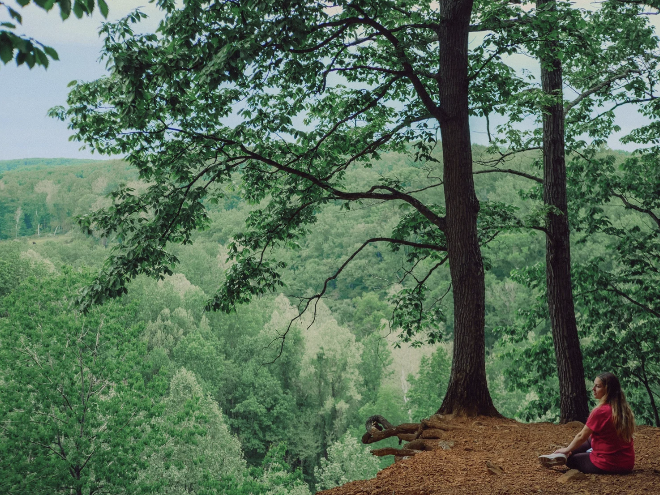 How Forest Therapy Helps Us Receive the Nourishment We've Been Missing