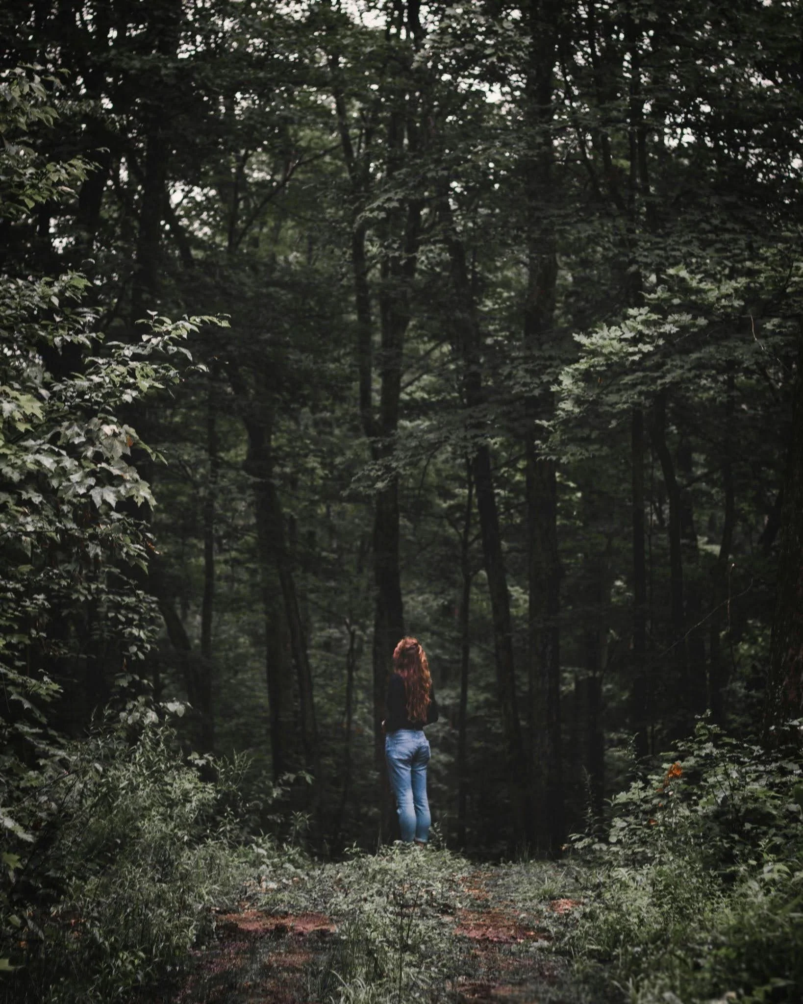 How to Become a Certified Forest Therapy Guide: A Step-by-Step Guide