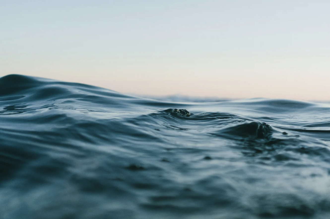 A Resilient Nervous system is not always calm