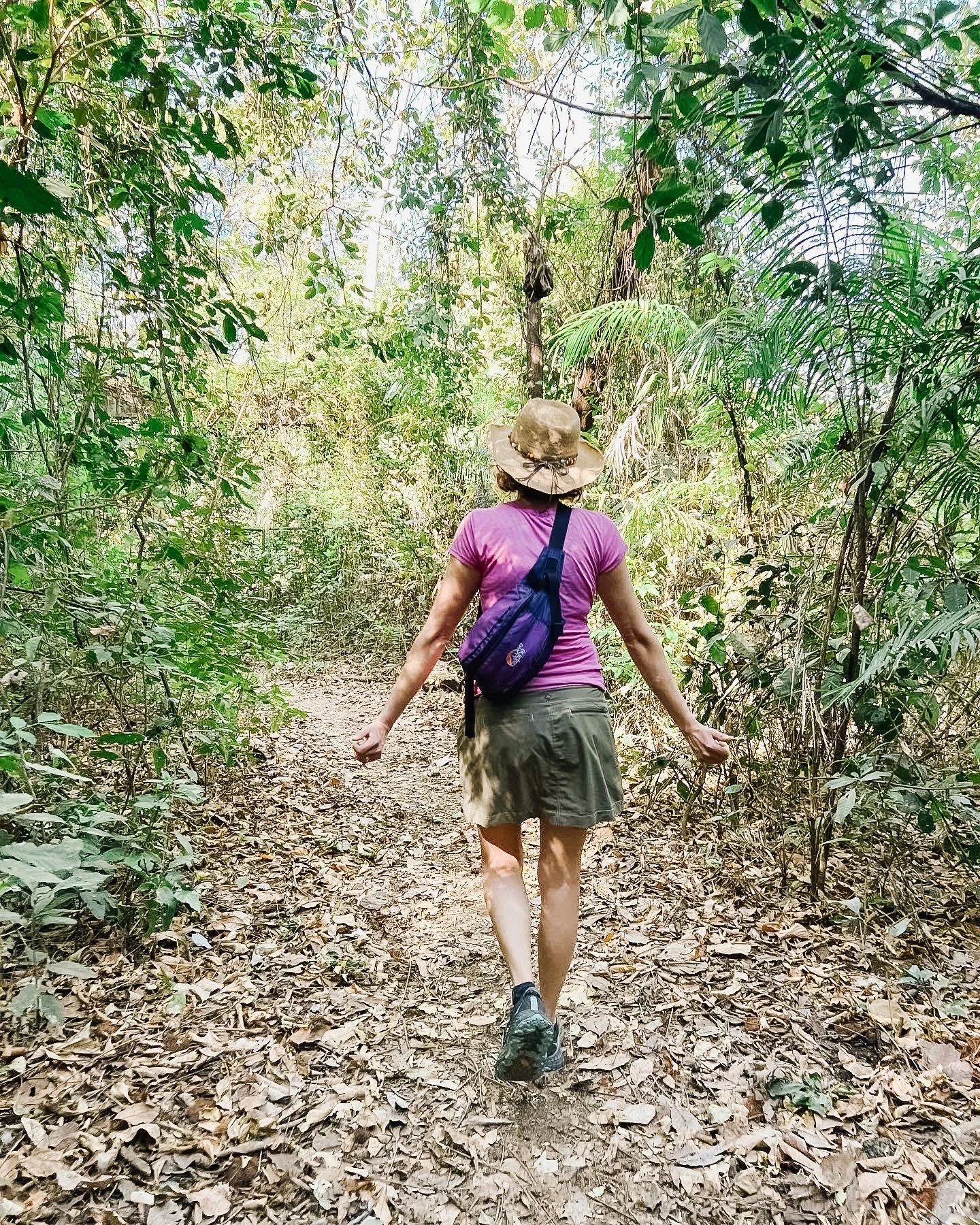 What Are the Benefits of Forest Bathing &amp; Why Is It Good for Your Health?