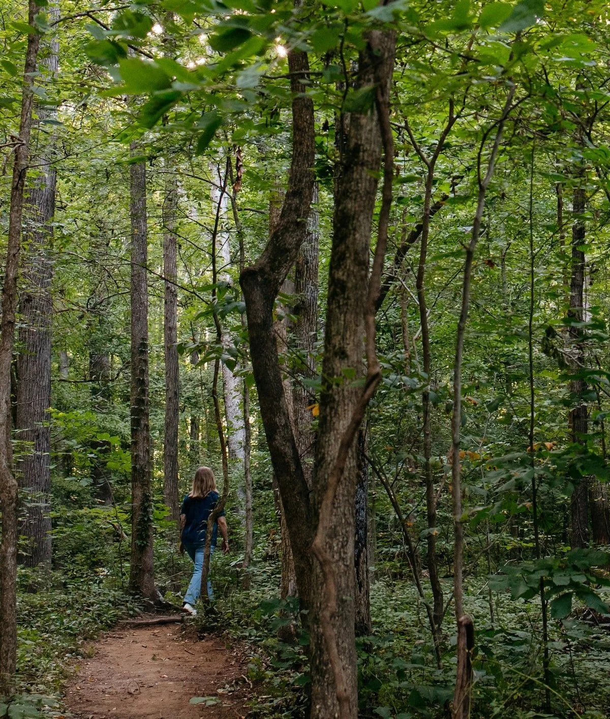 A trainer at a Forest Therapy Training Retreat