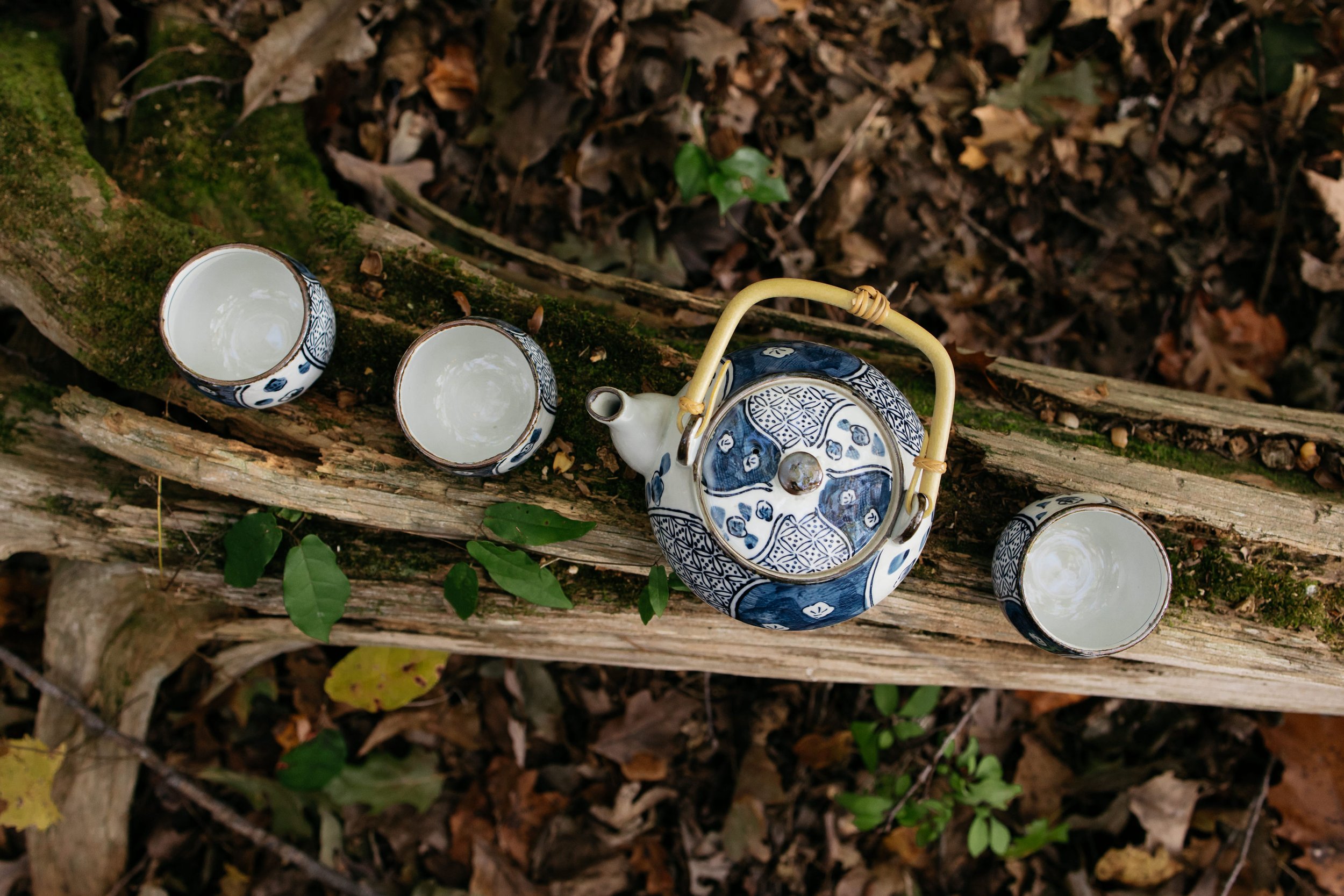 Tea offered during Heartwood forest therapy guide training